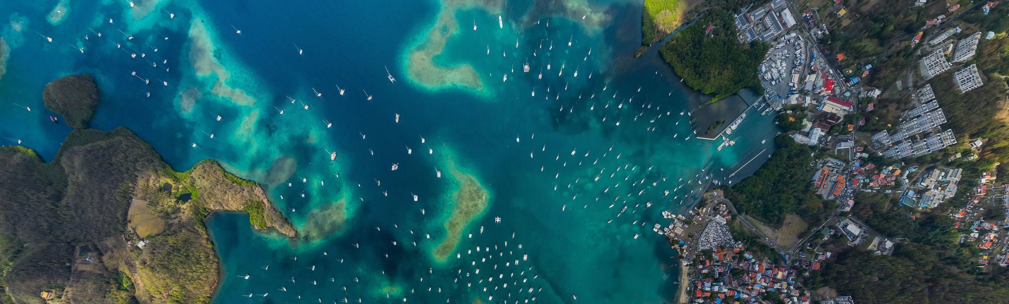 Caribbean ai report chapter header
