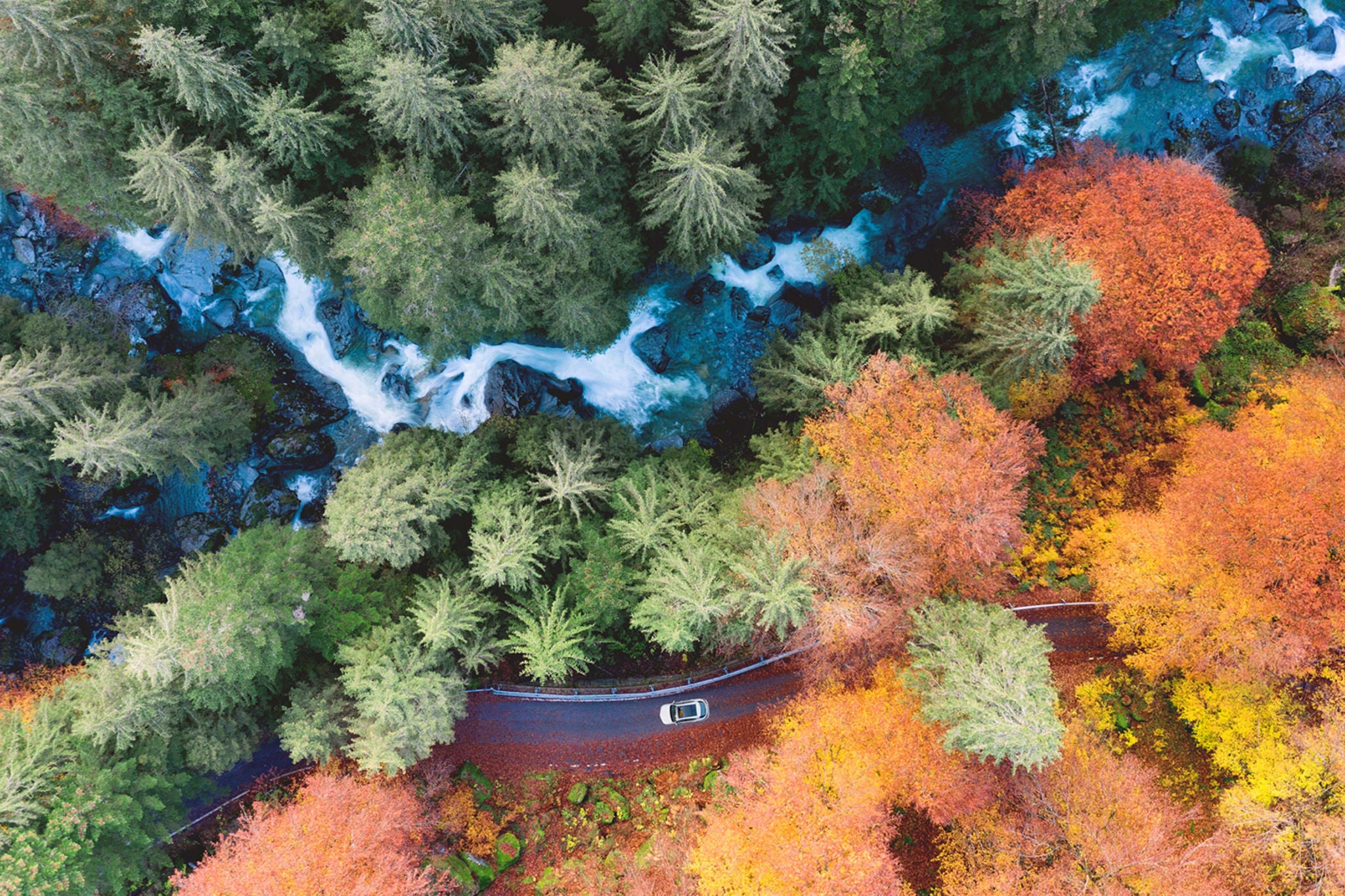  Webcast Operational Tax Quarterly