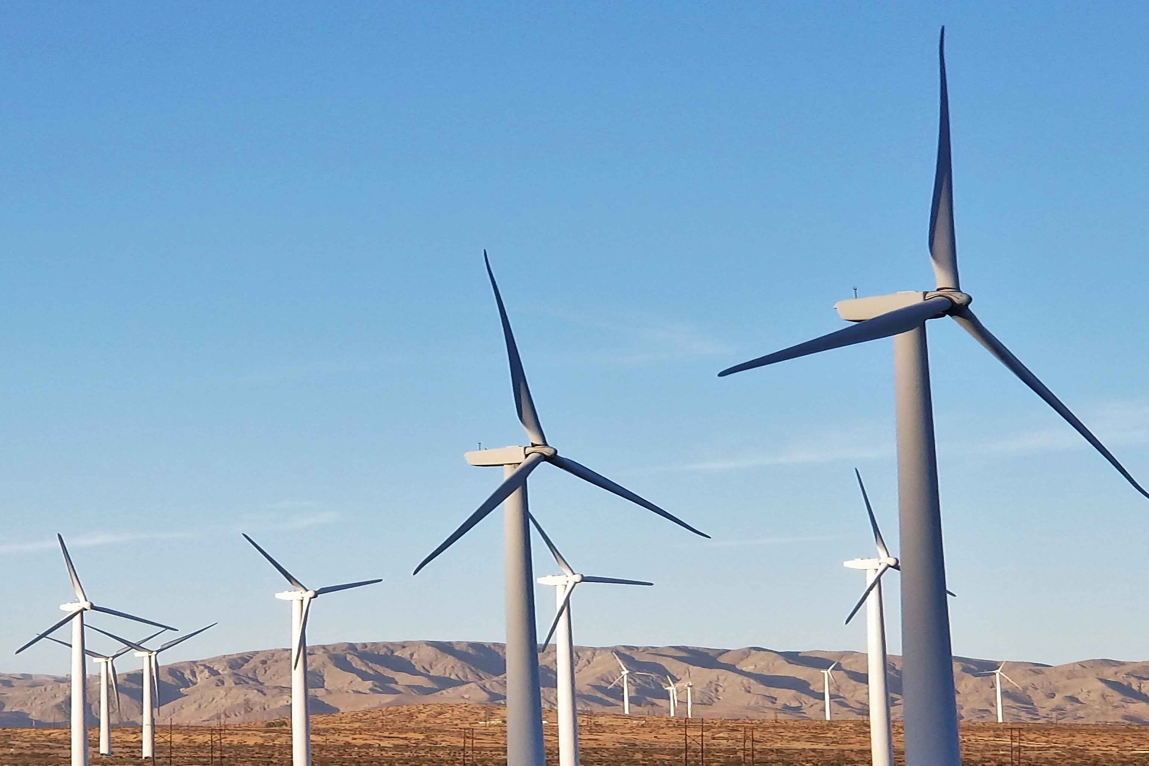 How CCTS is accelerating India Inc.’s race to decarbonize