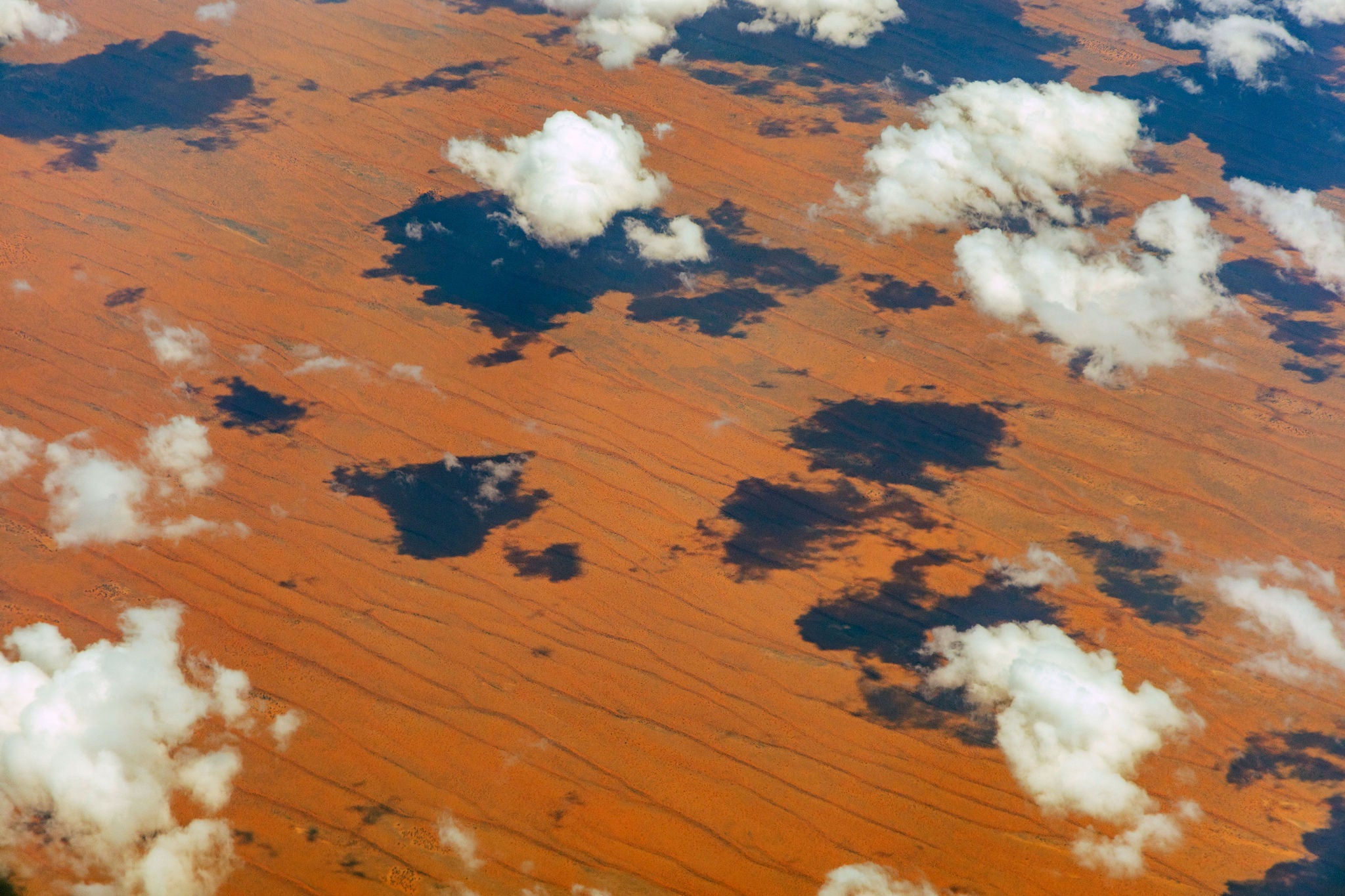 GCC infection point clouds shadows