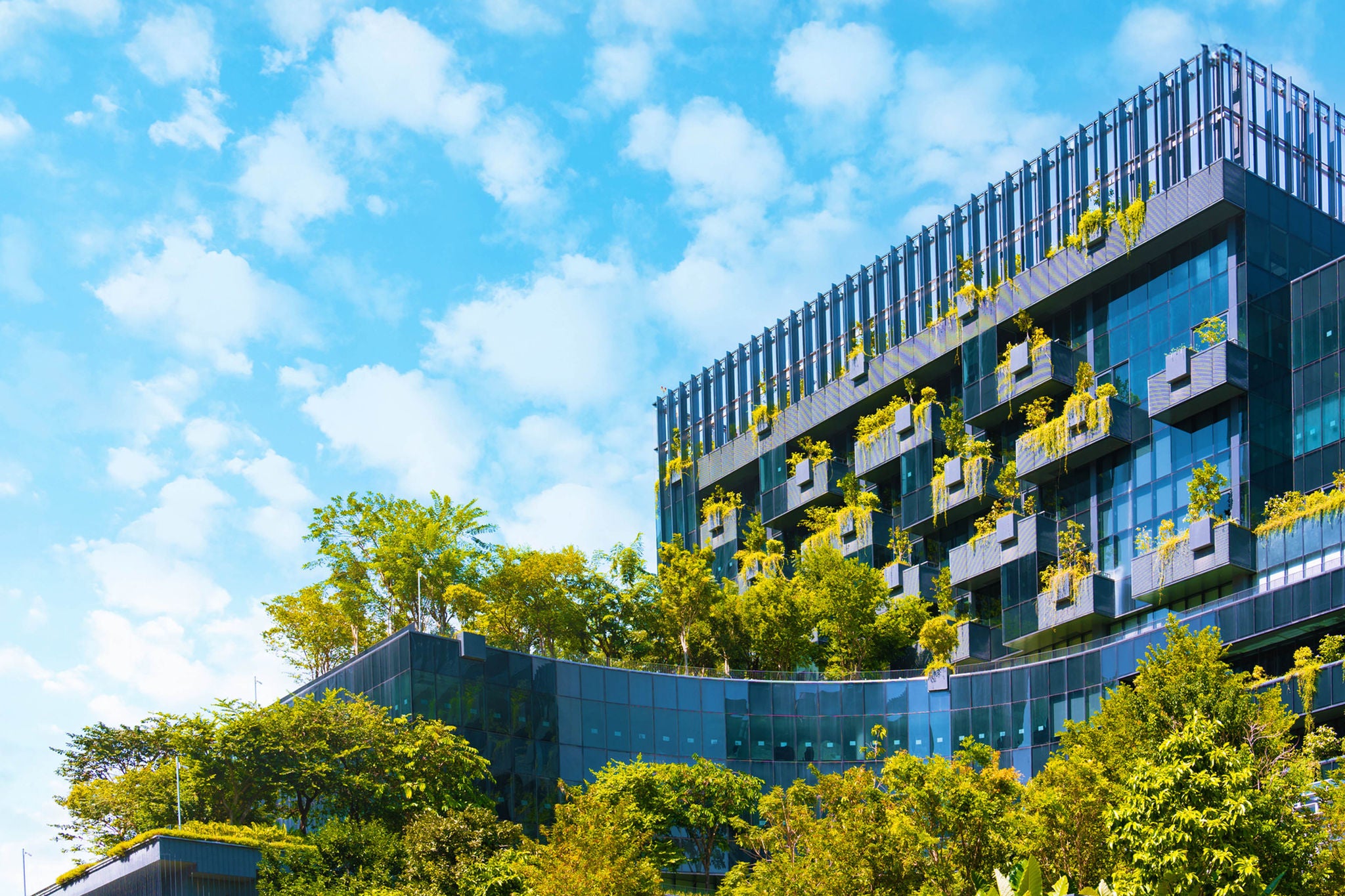 foto de um prédio moderno com vegetações