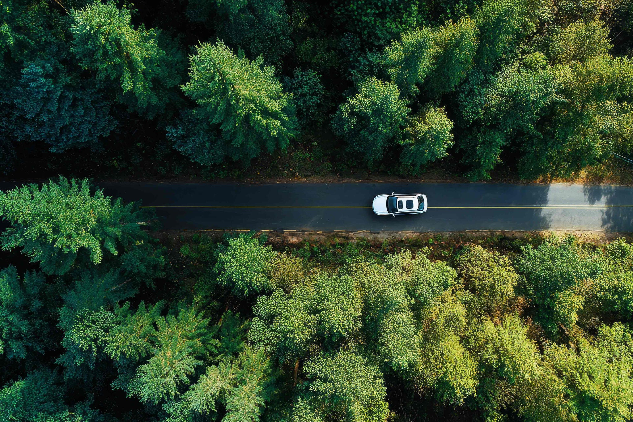 Top view of a car driving along a road surrounded by lush green trees.