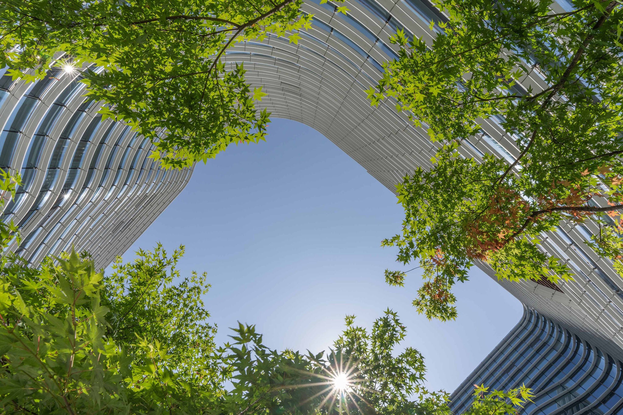 ISO14001:2026改訂が企業成長に不可欠となる理由――気候・自然・資源循環の6つの重要ポイント