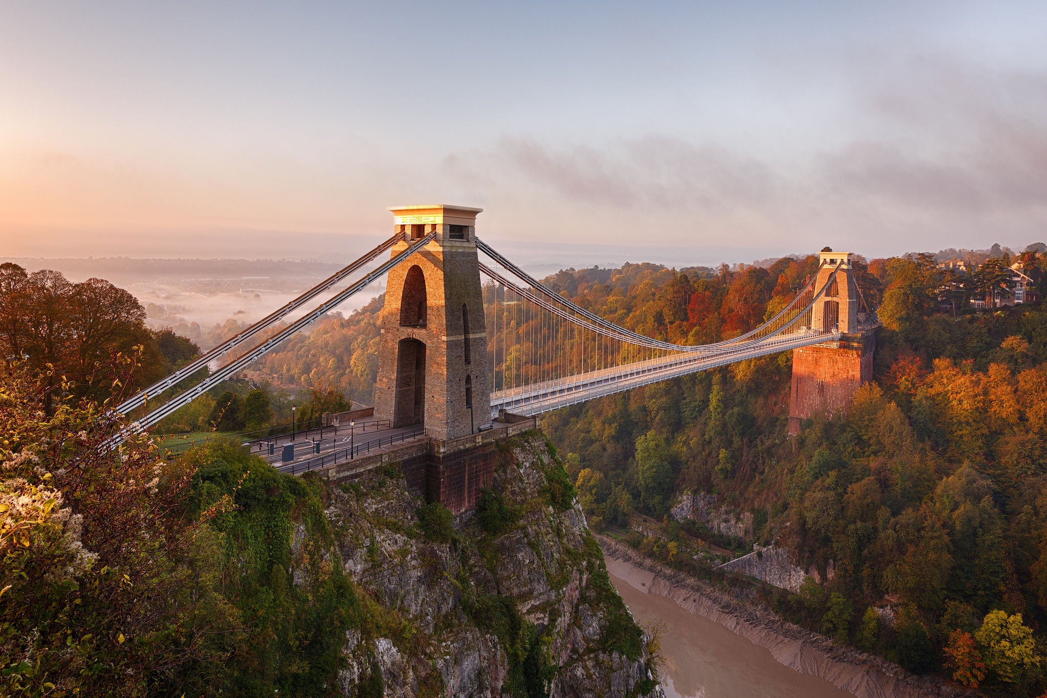 Suspension bridge spanning a gorge surrounded by trees