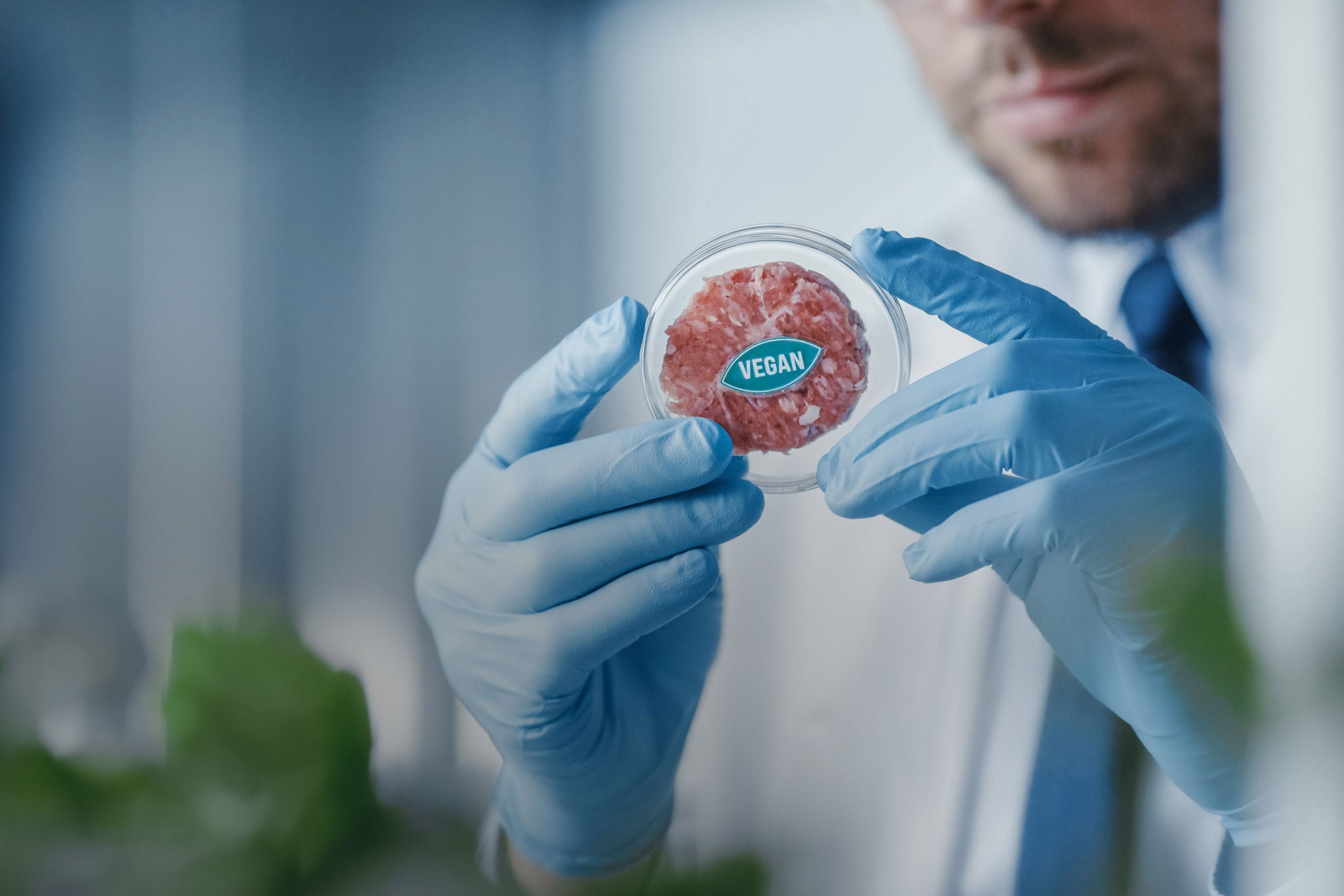 Microbiologist Holding Lab-Grown Cultured Vegan Meat Sample. Medical Scientist Working on Plant-Based Beef Substitute for Vegetarians in a Modern Food Science Laboratory.