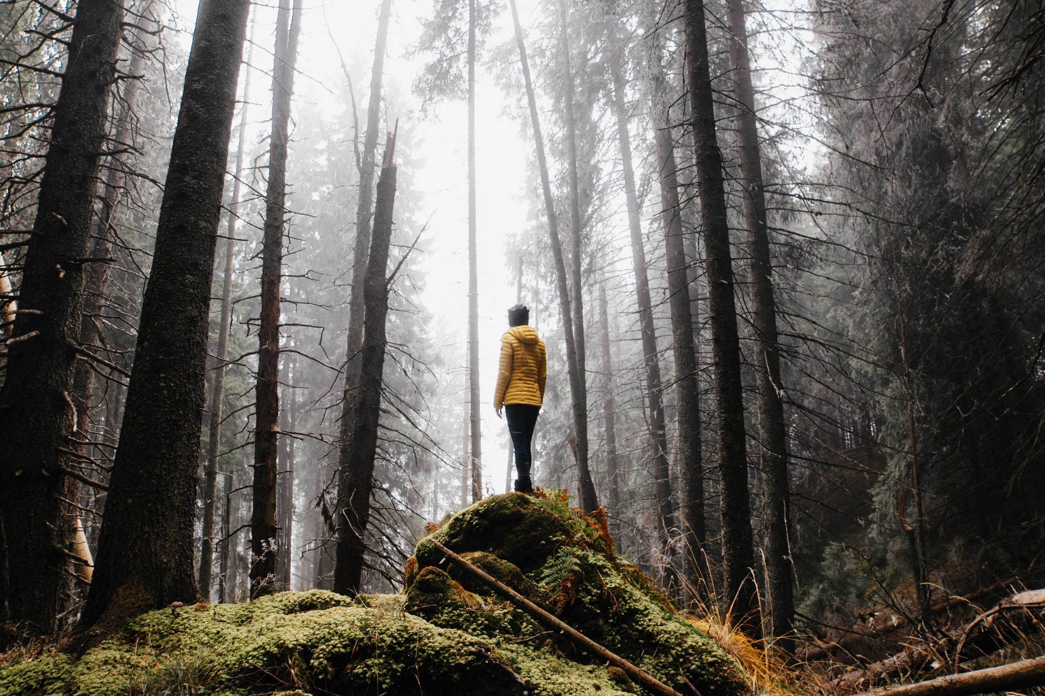 REAR VIEW OF MAN STANDING BY TREE IN FOREST