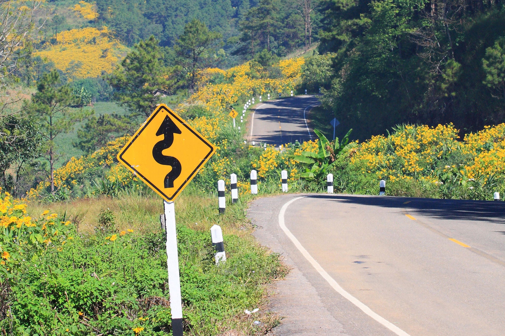 winding road sign, mountain background