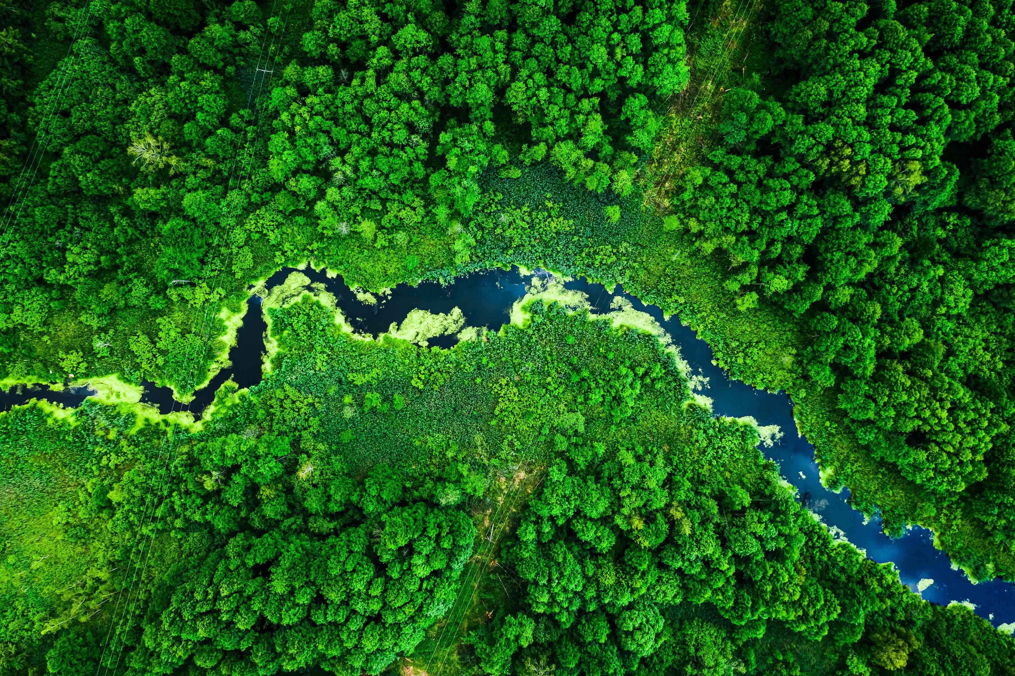 Green river aerial view