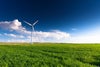 EY Carbon Neutral Hub