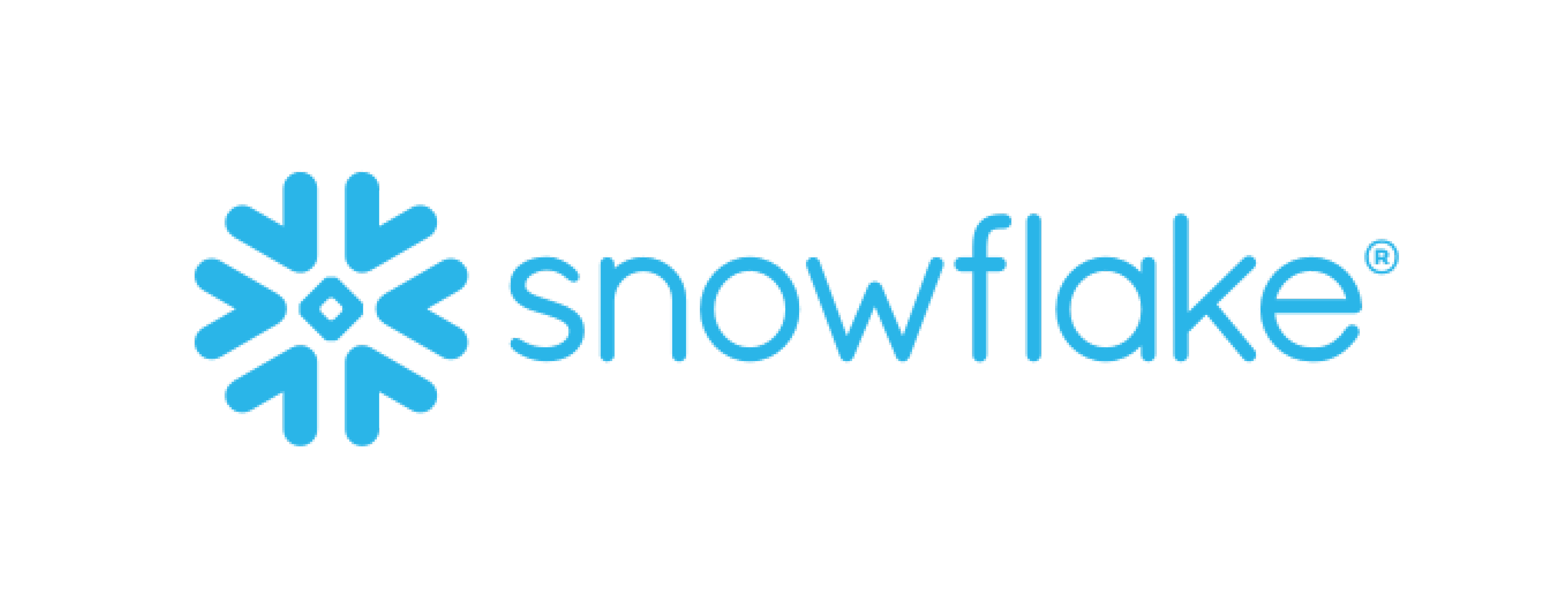 EY Snow Flake logo