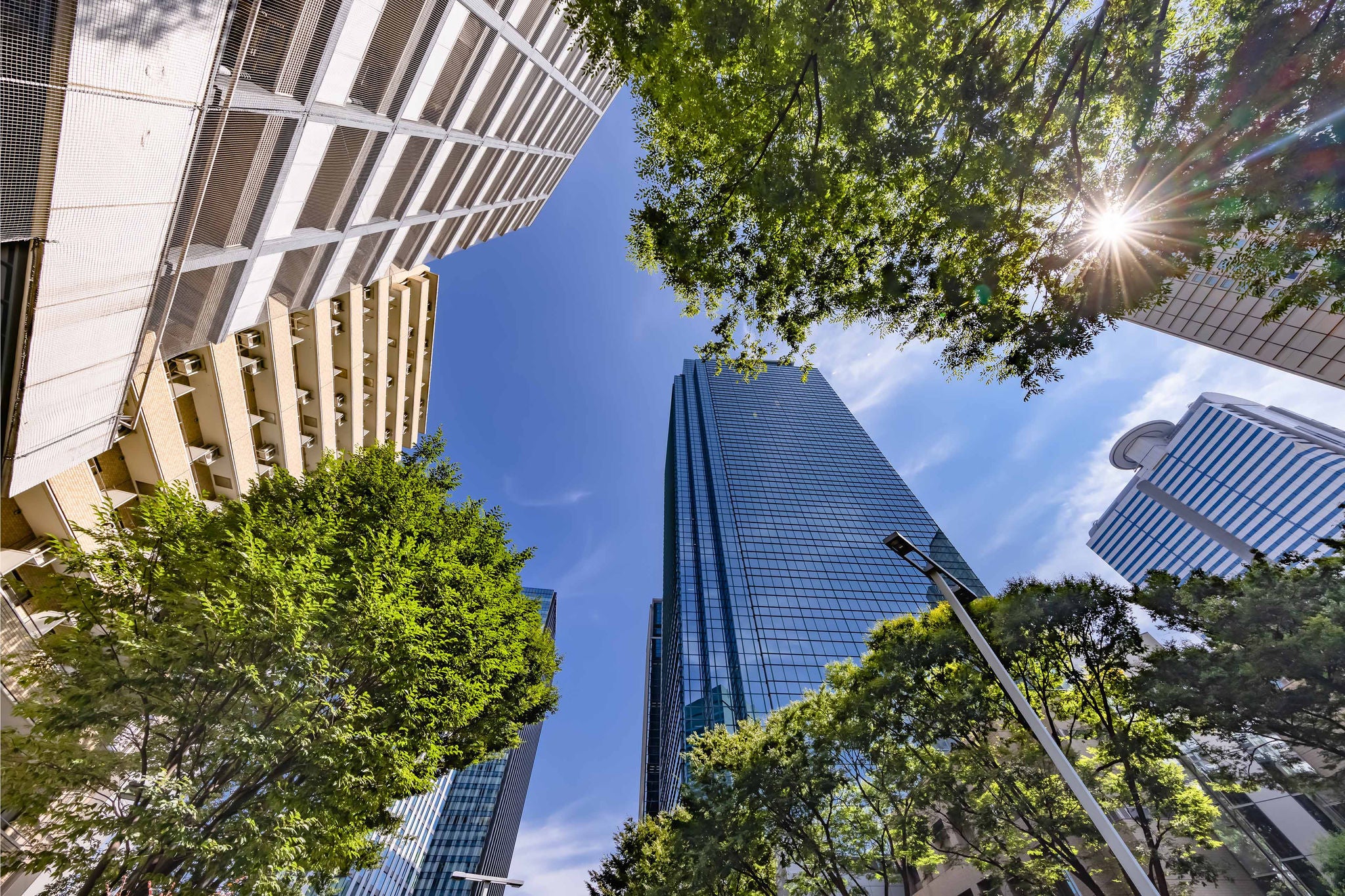 Modern city skyscrapers surrounded by green trees under a sunny blue sky.