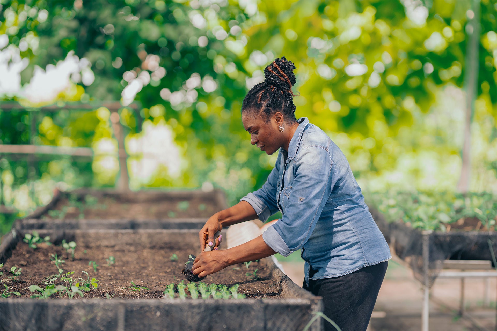 woman, garden