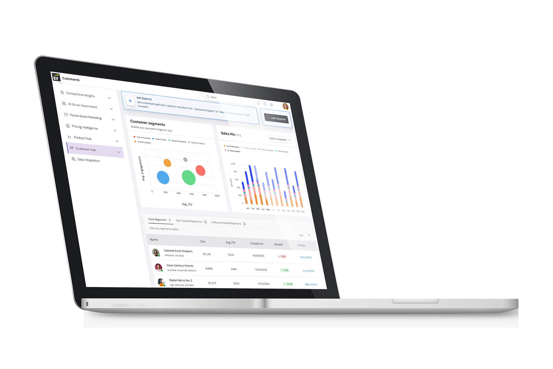 Customer segmentation laptop