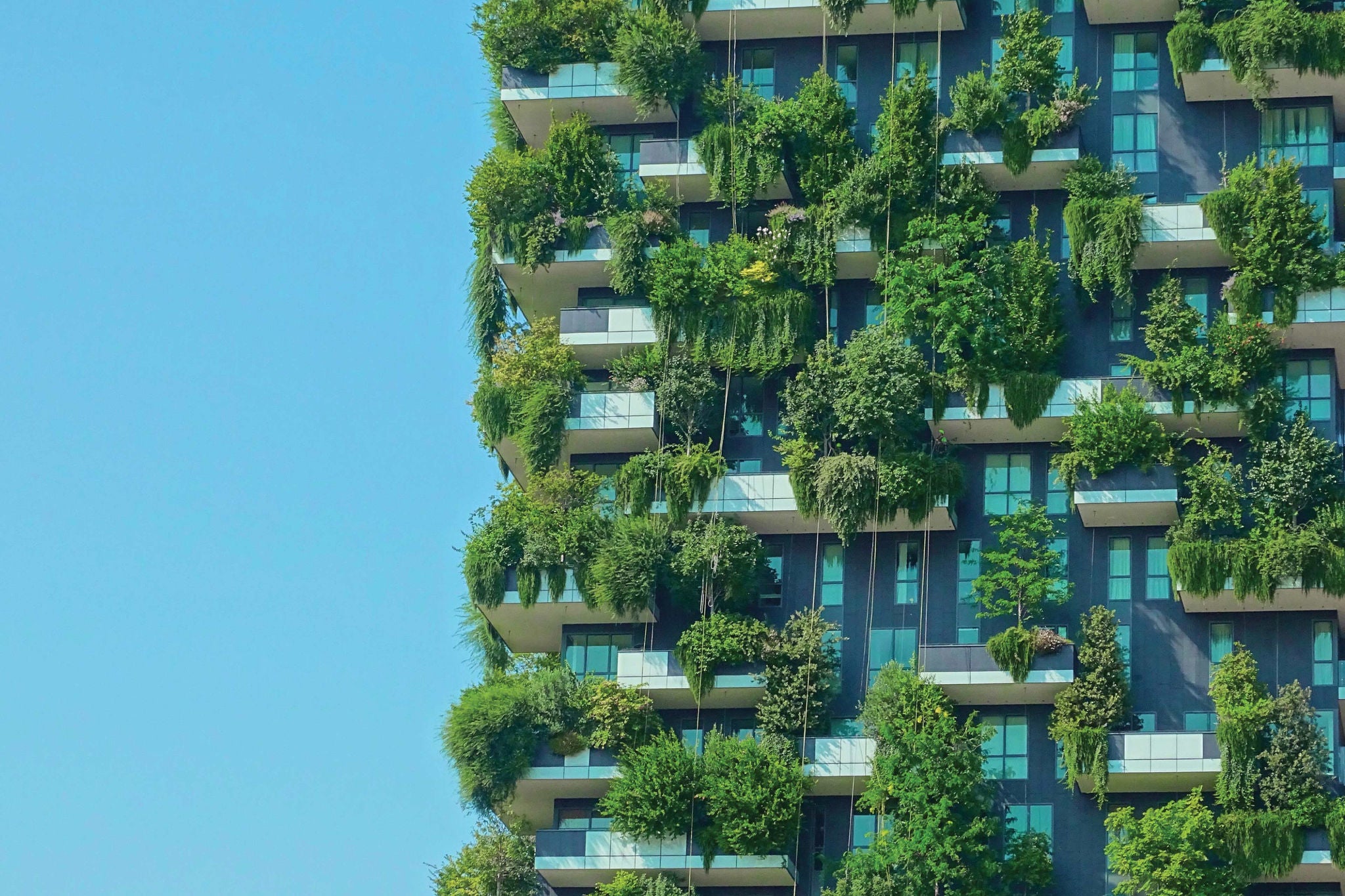 Ey-panorama-verde_sostenibilidad