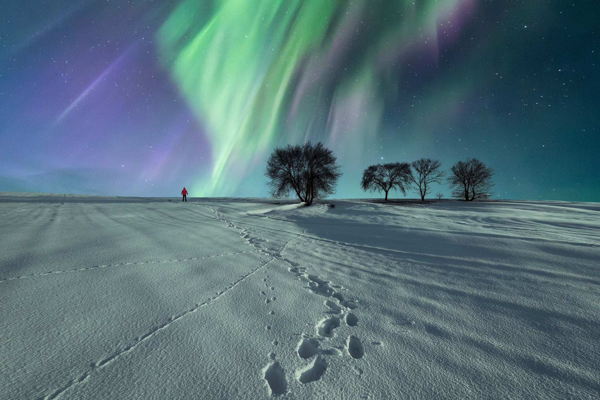 Unrecognizable person in red jacket walking through snowy terrain under a vibrant aurora borealis on a clear winter night, leaving footprints behind.