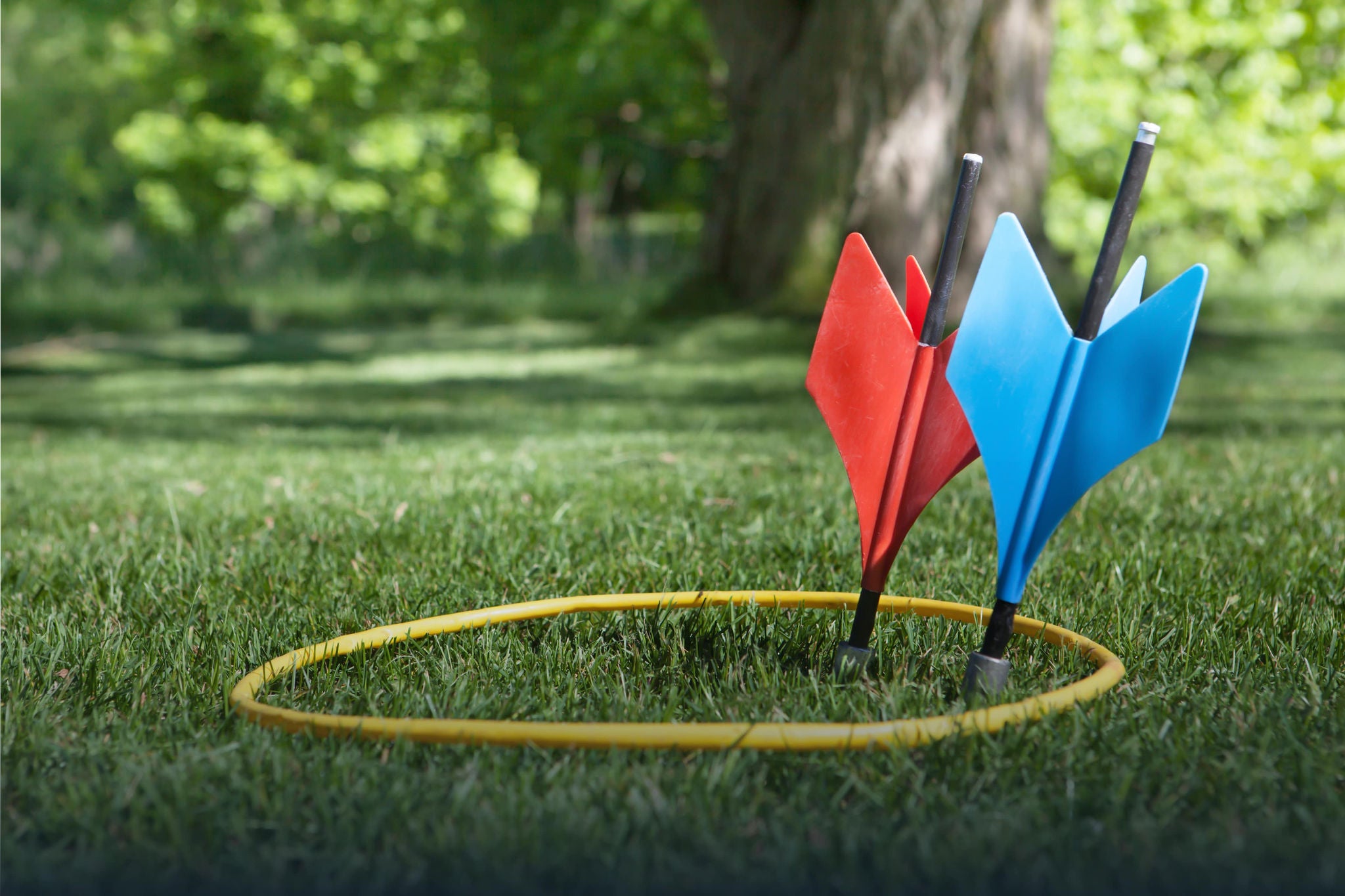 two darts on grass