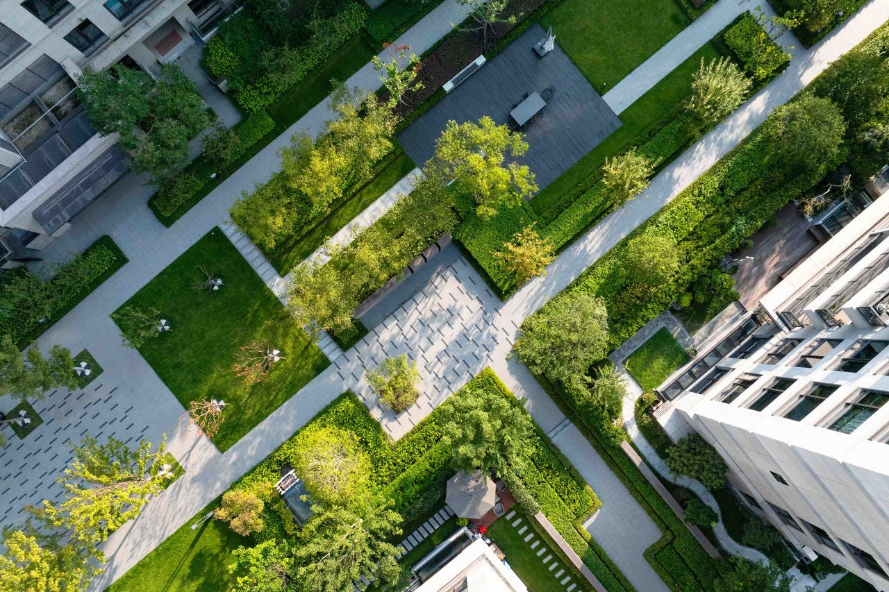 SSBJ基準と企業価値の関係性とは