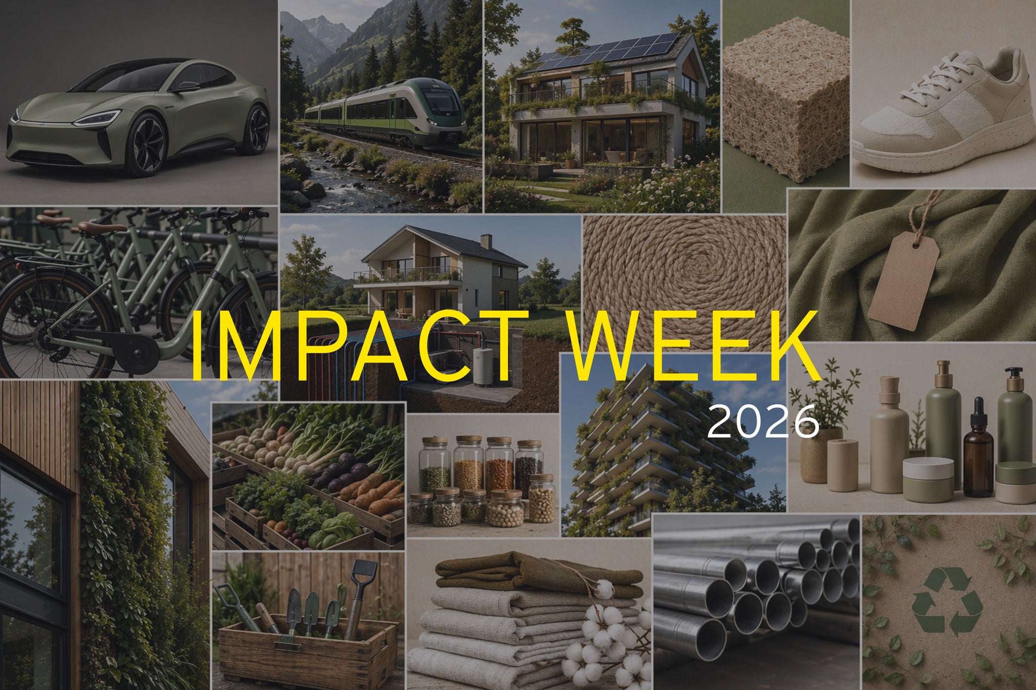 ey-impact-week-banner2