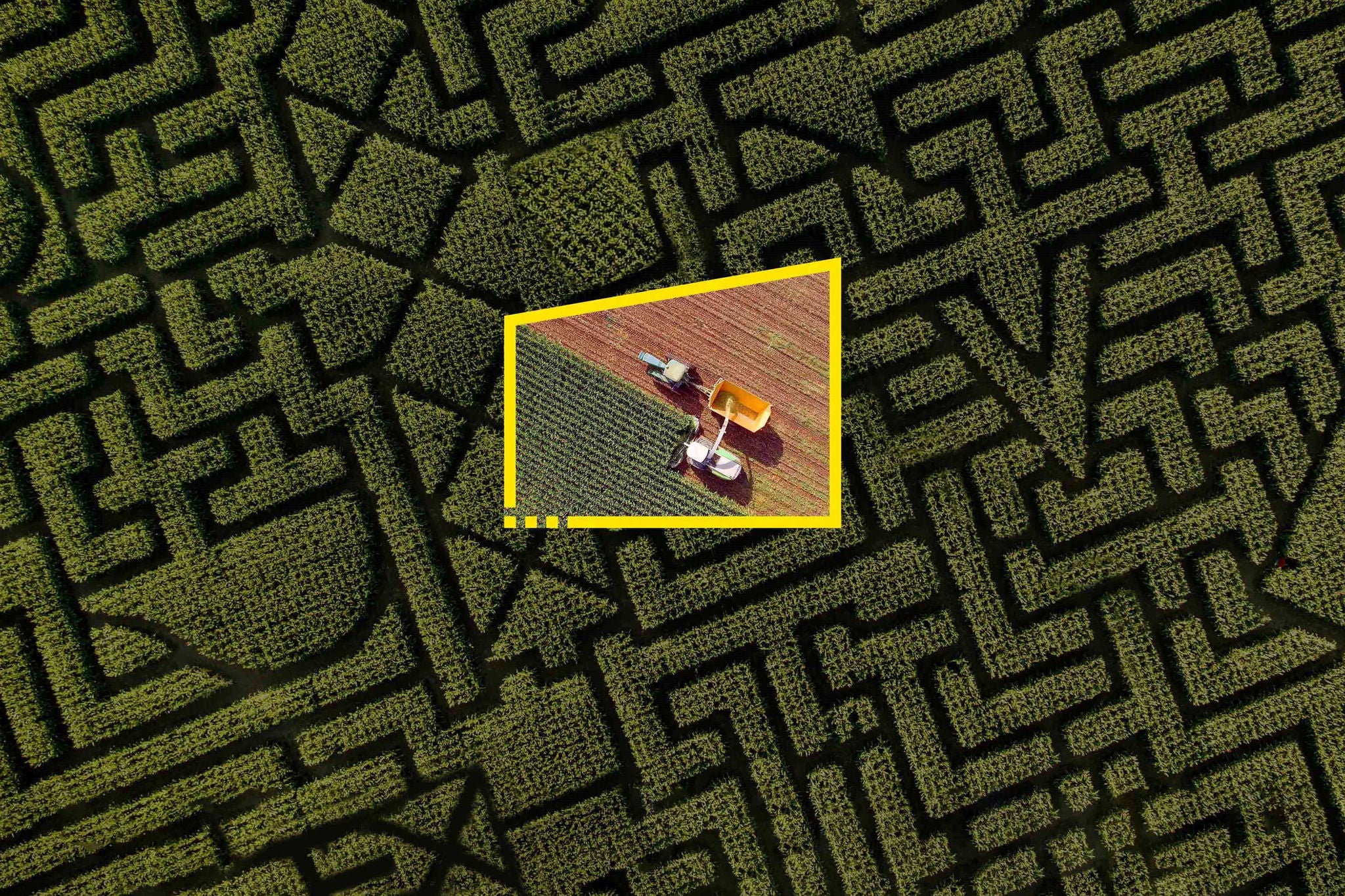 Reframe your future maze farmers