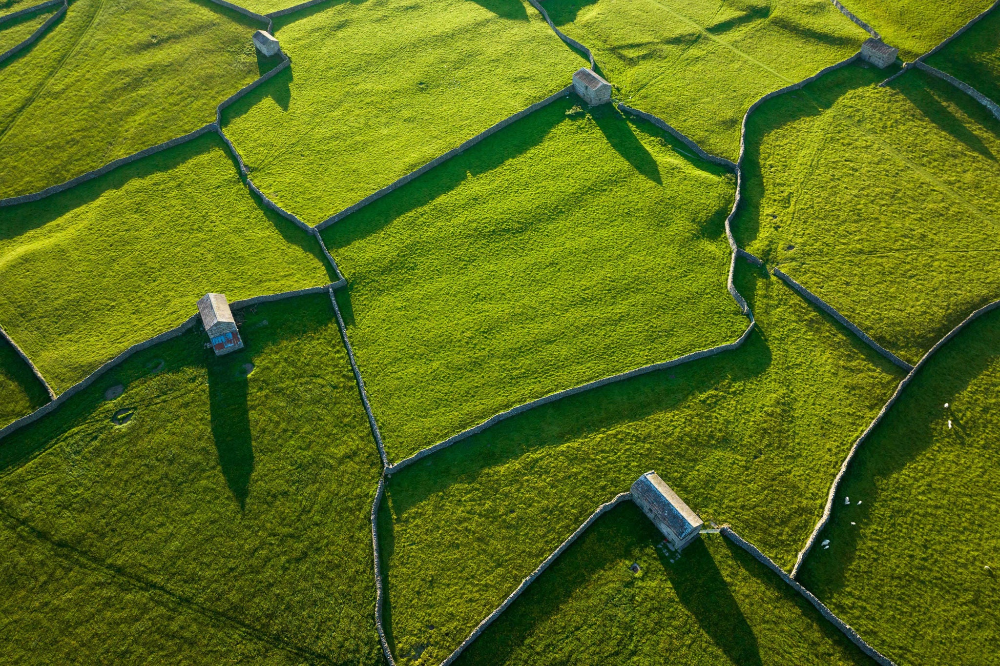 Aerial shot of green pastures divided by drystone walls in Swaledale, Yorkshire Dales.