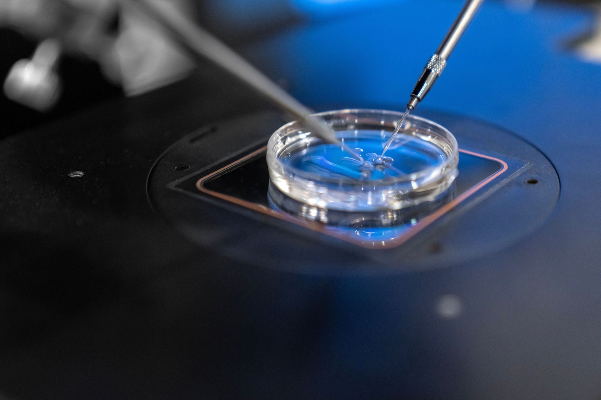 EY-Parthenon-Analyse Biotech-Report 2026