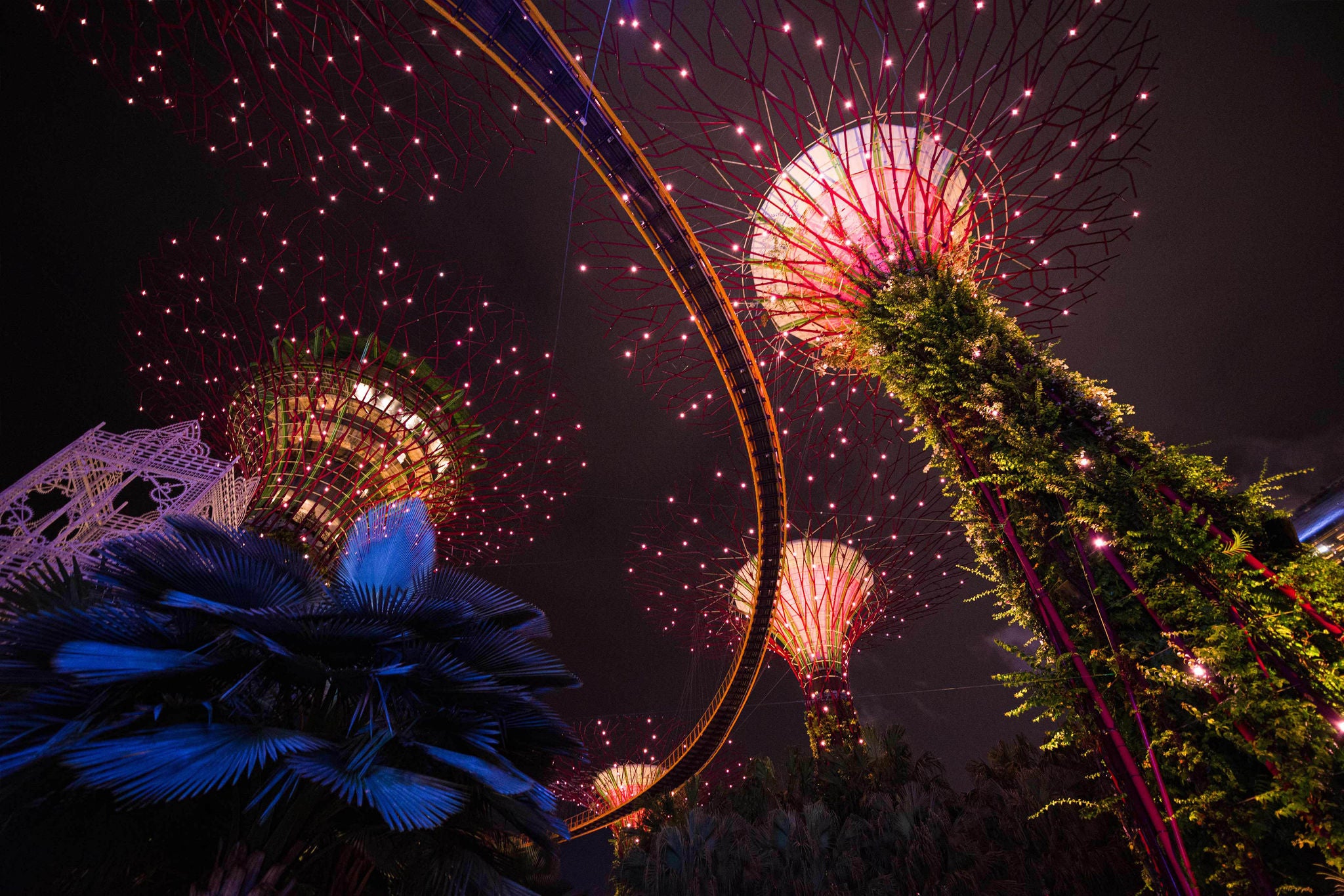 Super Trees at Gardens By The Bay, Singapore