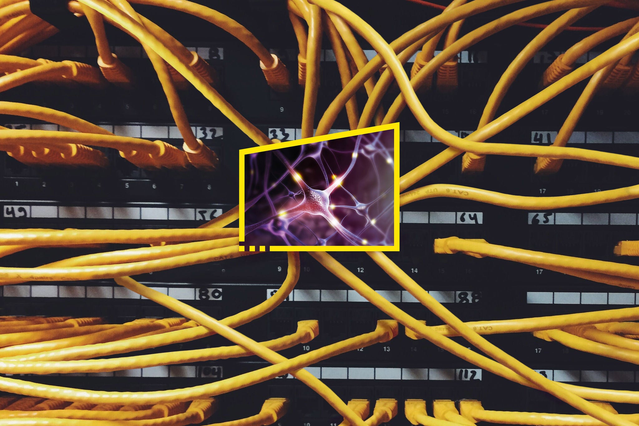 Reframe your future neuron server rack static