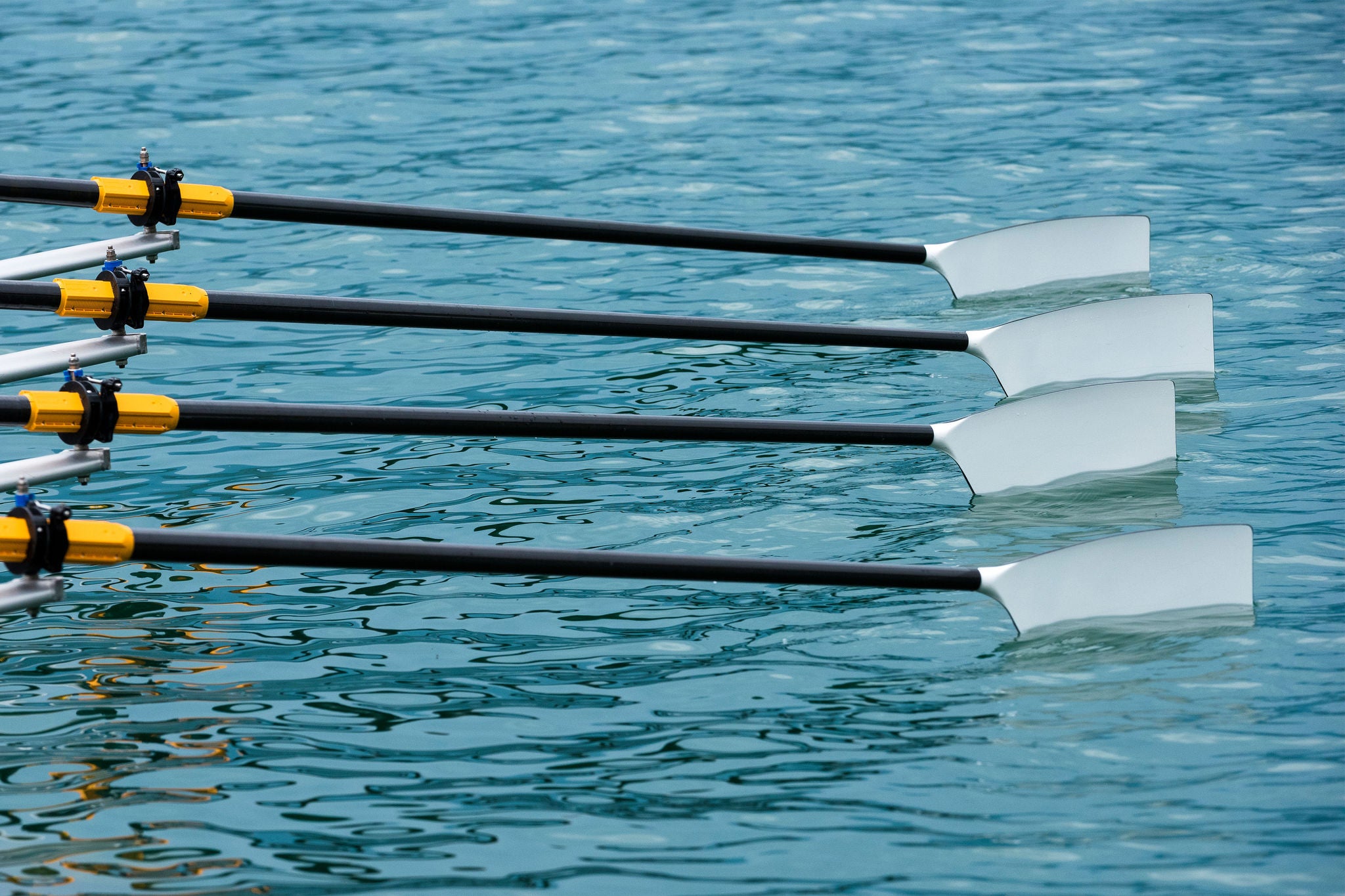 ey rowing team oars water