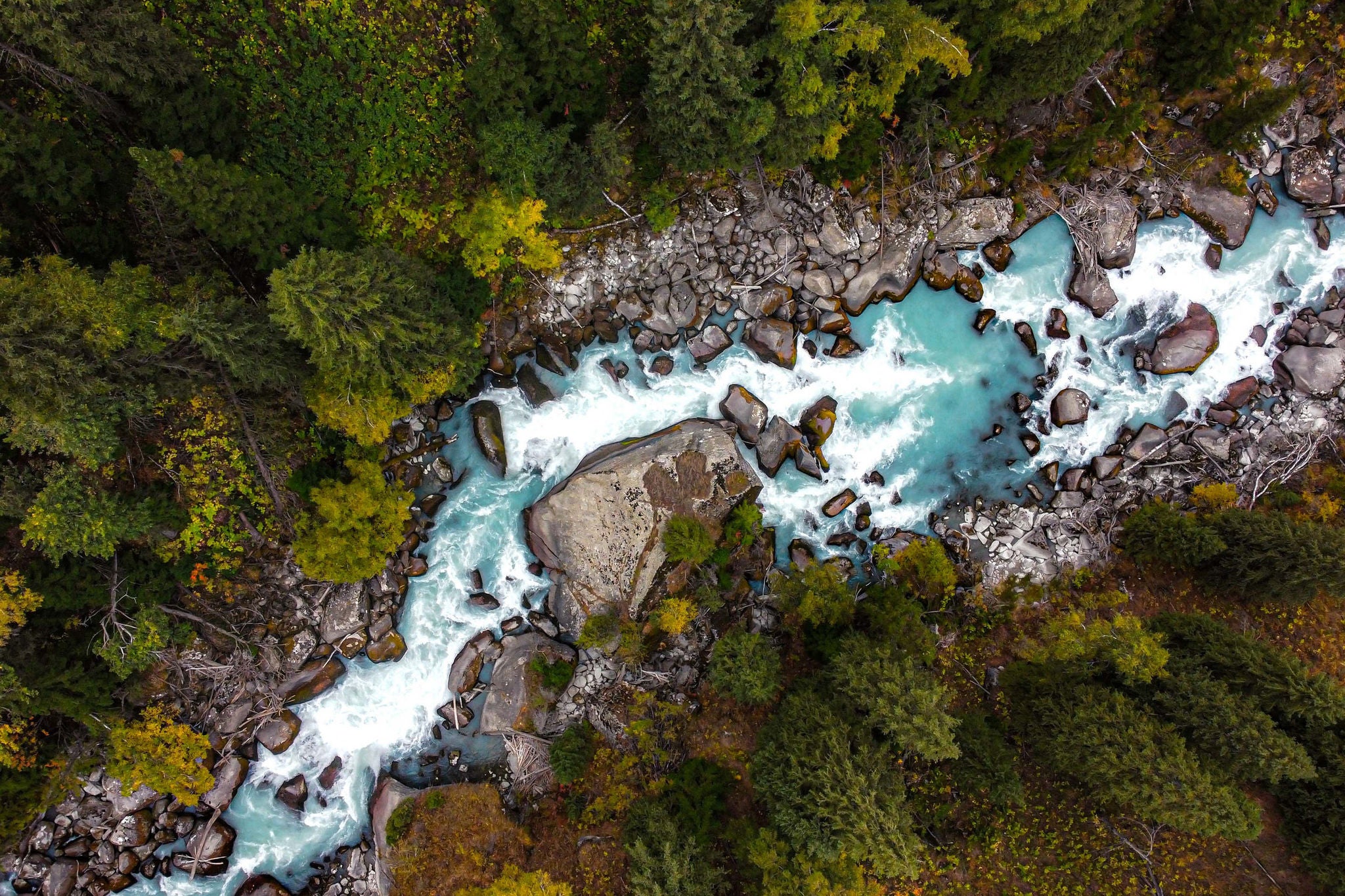 Turquoise river winding through a forest from above