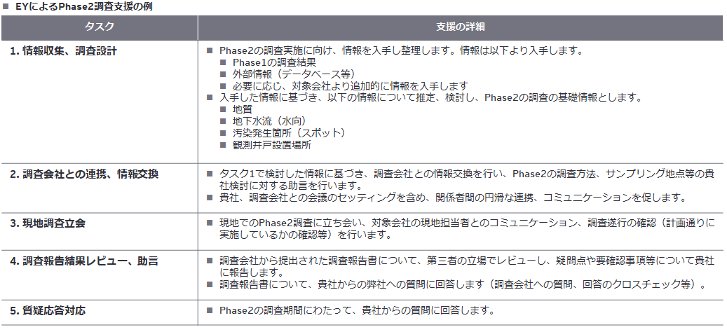 EYによるPhase2調査支援の例