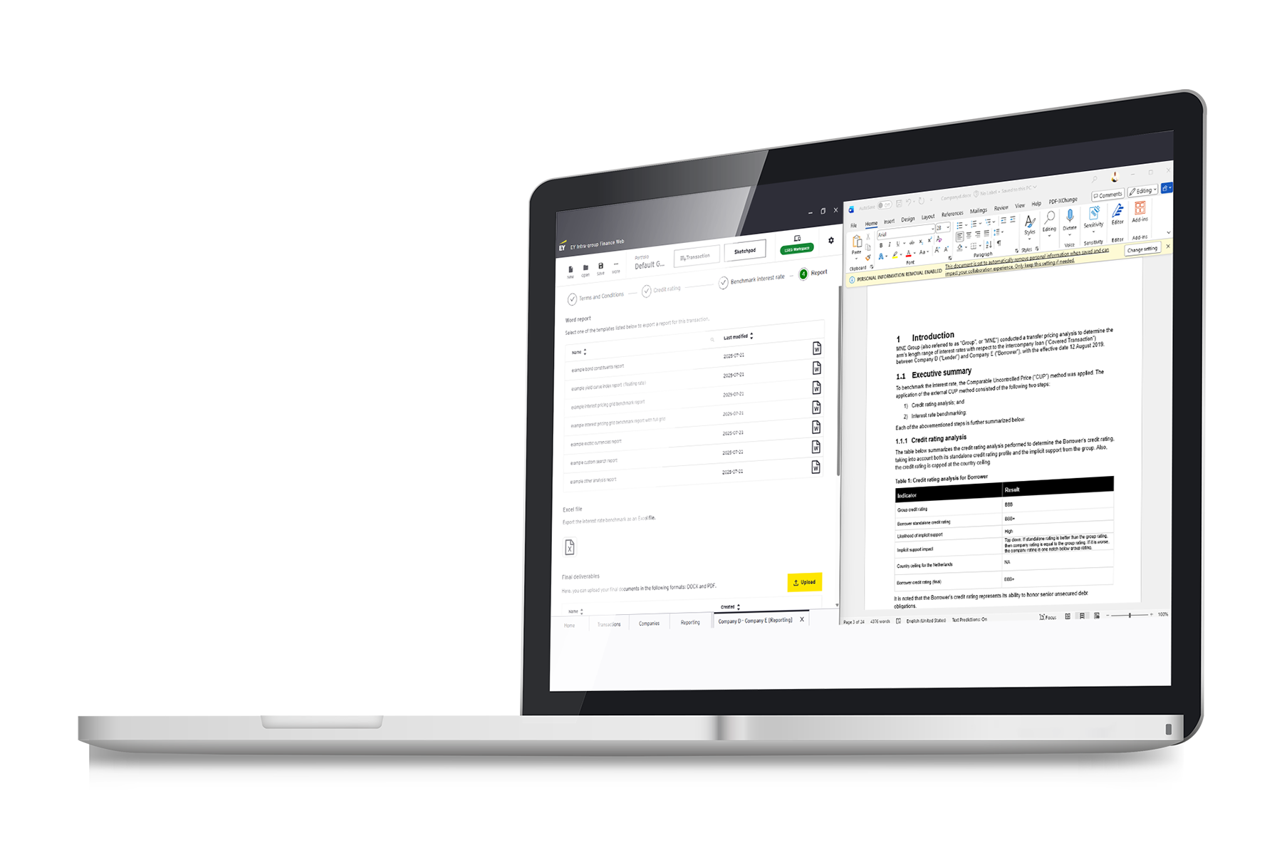 Laptop view of company reporting