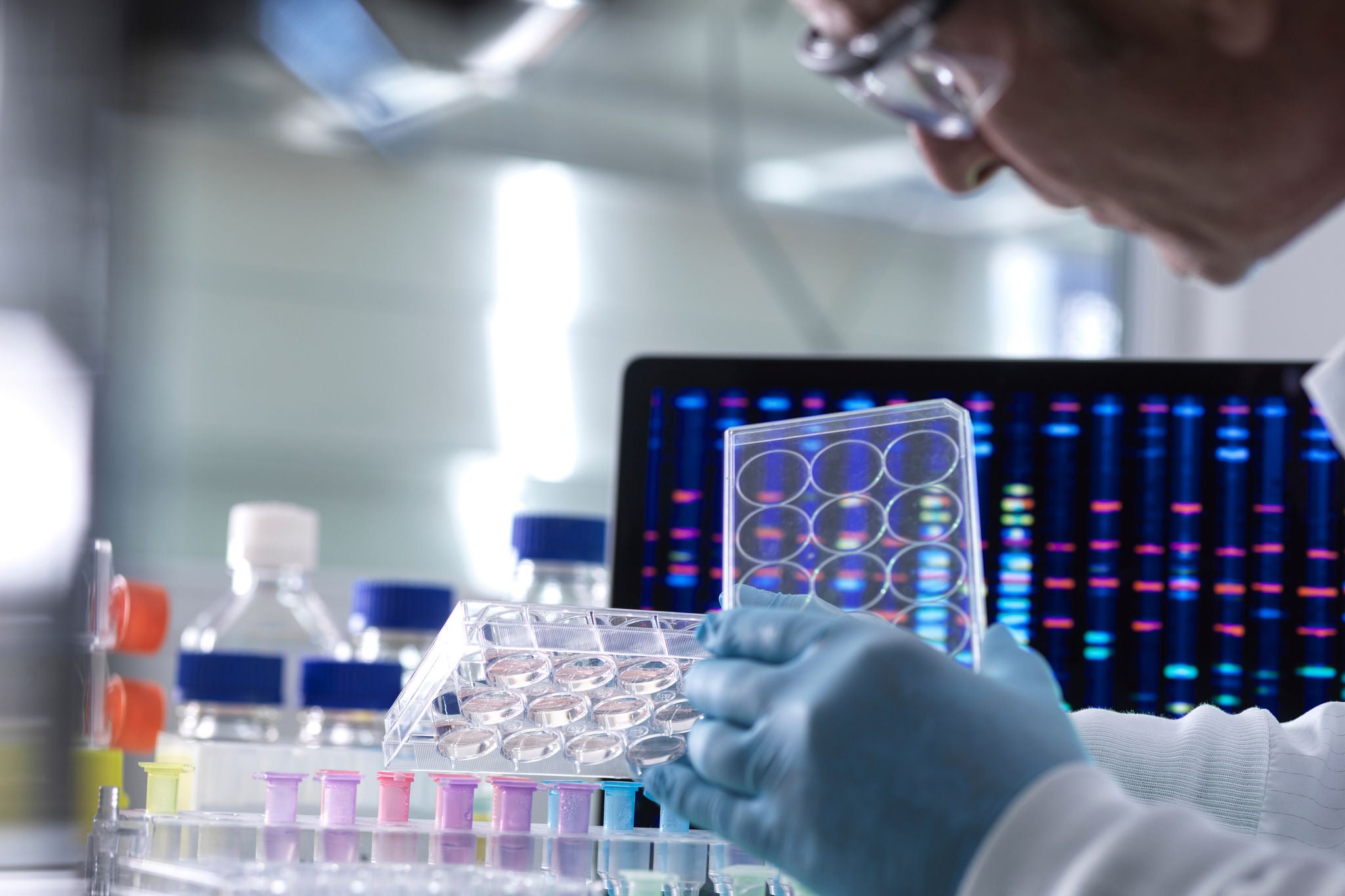 Scientist pipetting DNA samples into microcentrifuge tubes during an experiment in the laboratory with the DNA profile on the monitor screen.