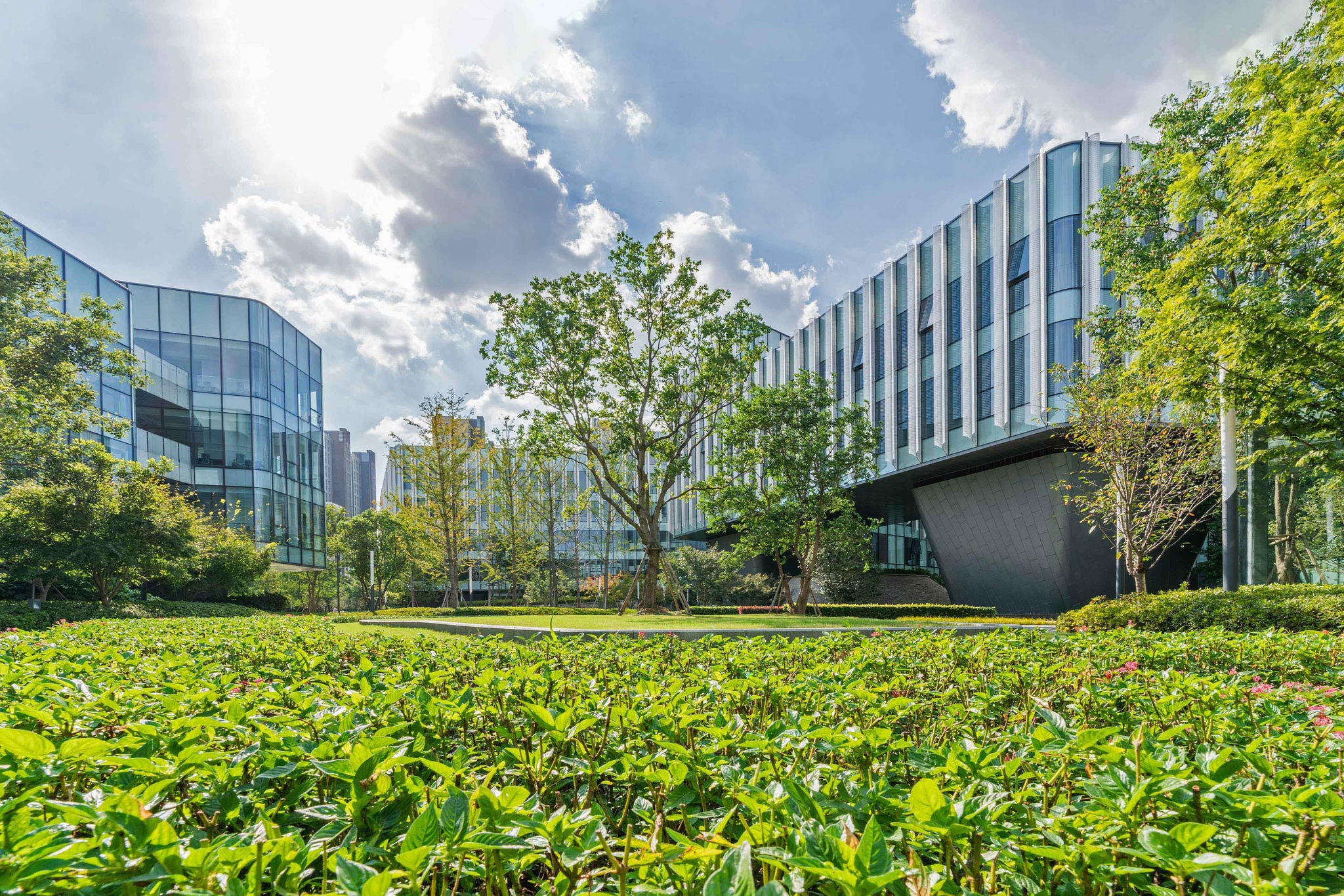 Landschaftsansicht des modernen Ã kobÃ¼ros