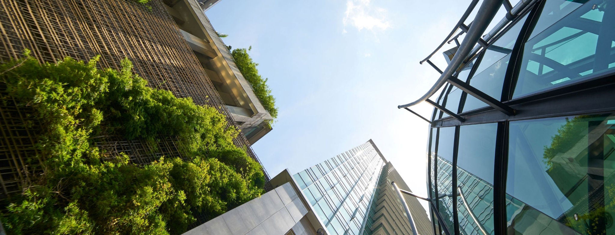 Bottom shot of buildings looking up the sky