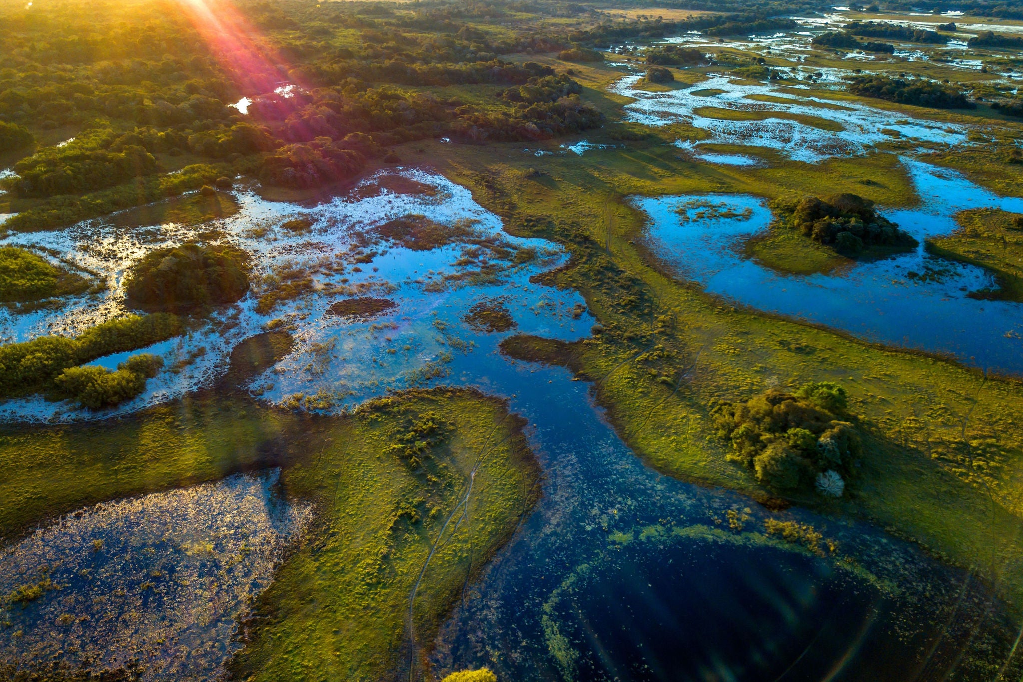 ey-biodiversidad-impacto-intangible