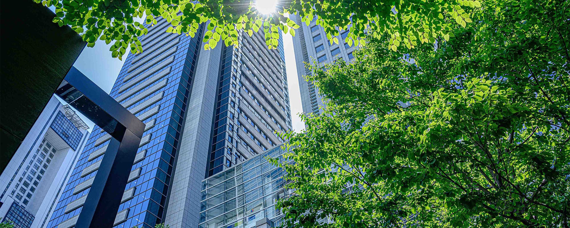 有価証券報告書のサステナビリティ情報開示で押さえるべき、内部統制整備の実務ポイント