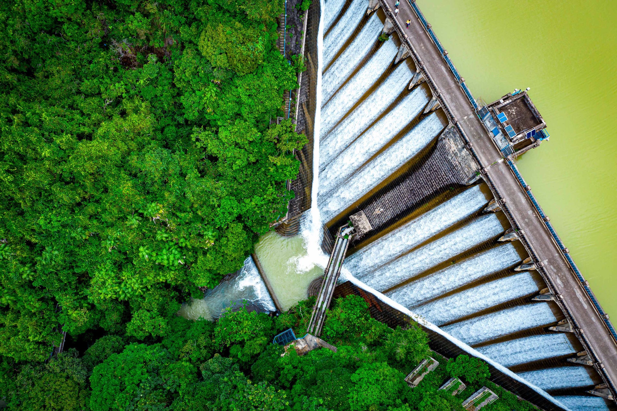 Draining water from the Kowloon Reservoir at Kam Shan Country Park