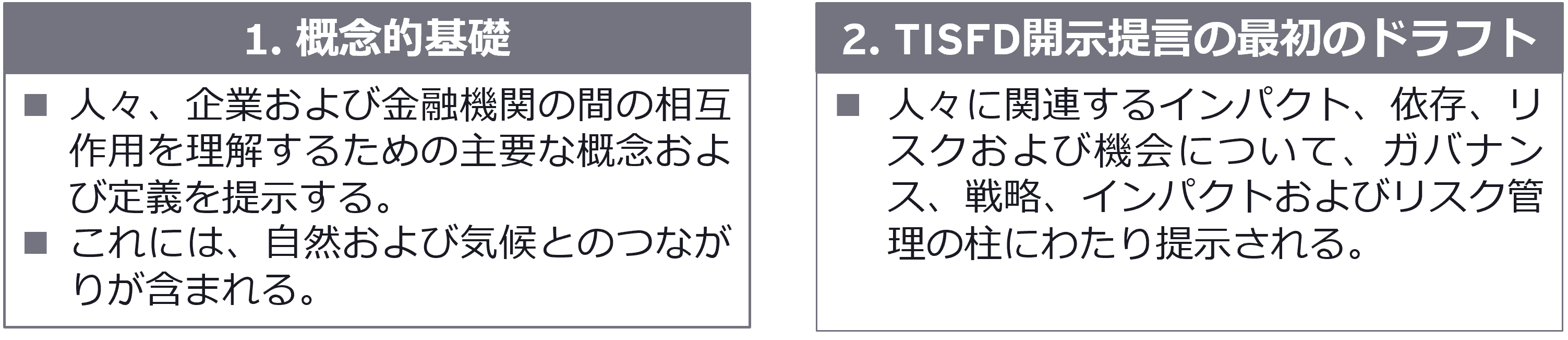 今後のTISFD開発ロードマップ