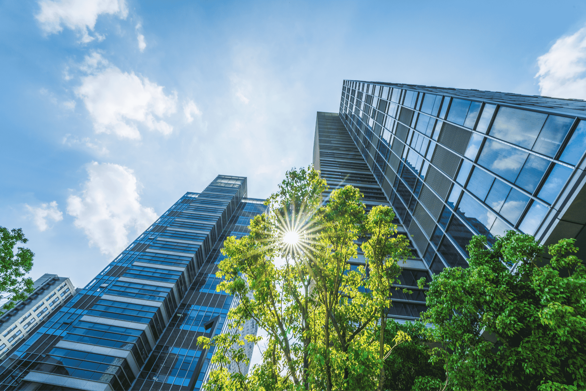 Glass office building with trees