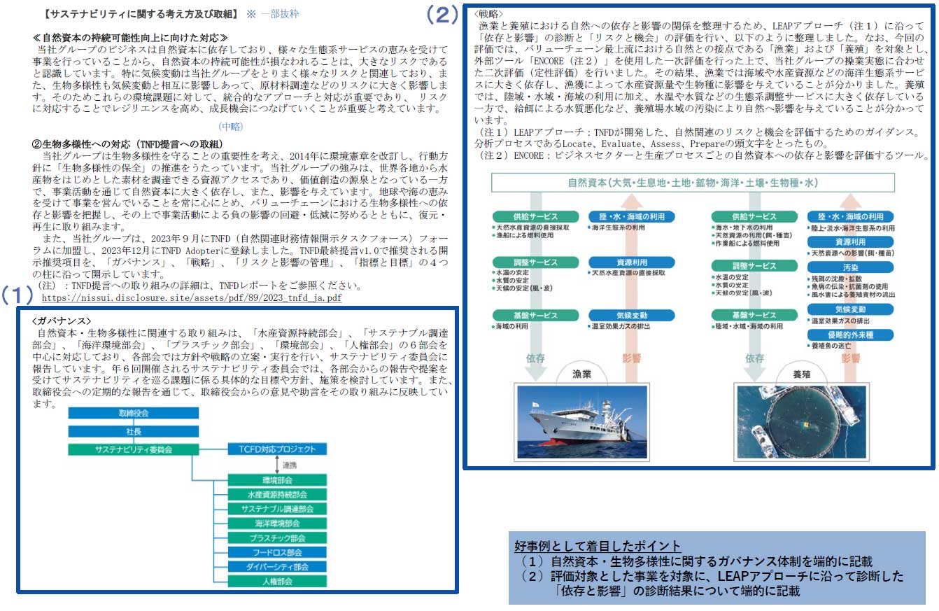 有価証券報告書レビューと消費財企業におけるサステナビリティ開示の
