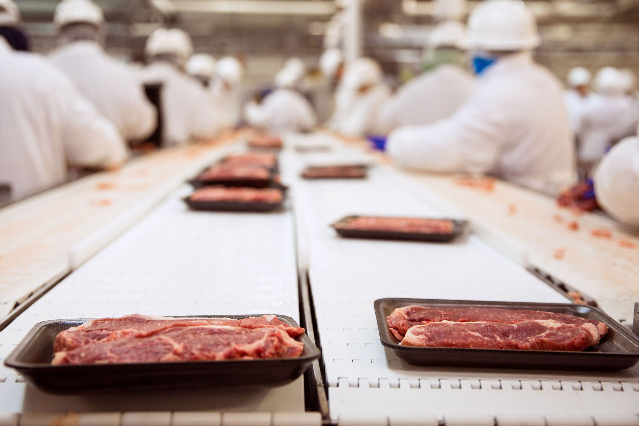 Raw steak beef packaged and shipped with workers