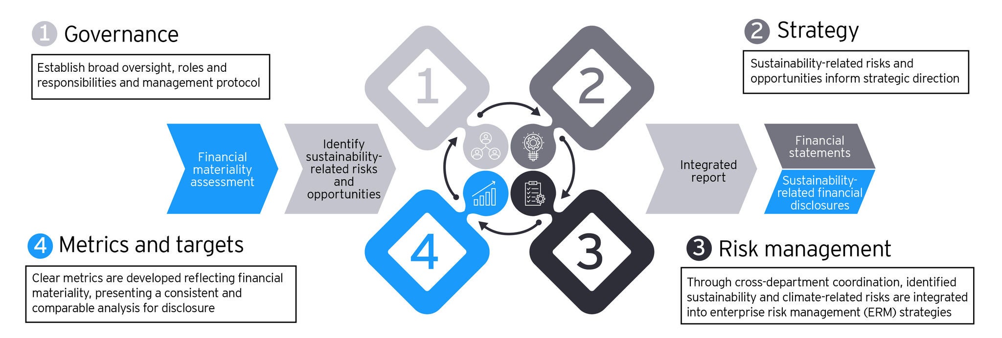 ISSB framework for organizational resilience