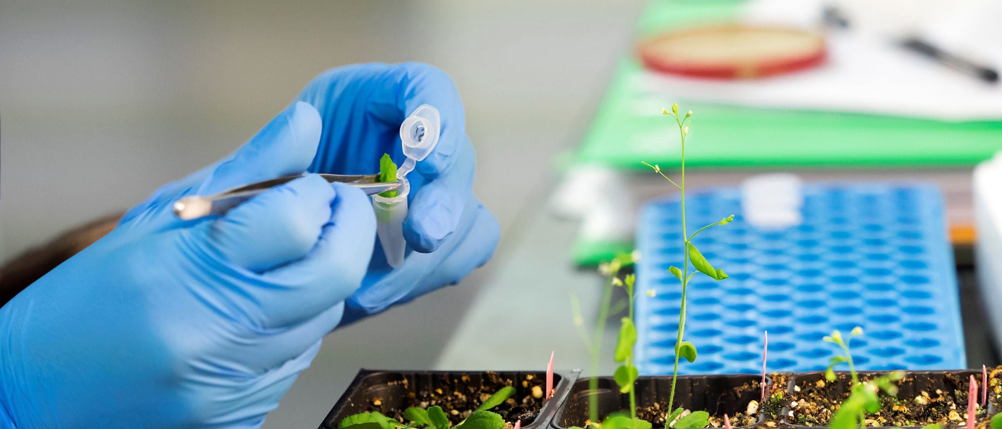 Vietnam’s family businesses at a crossroads amid digital and generational shifts