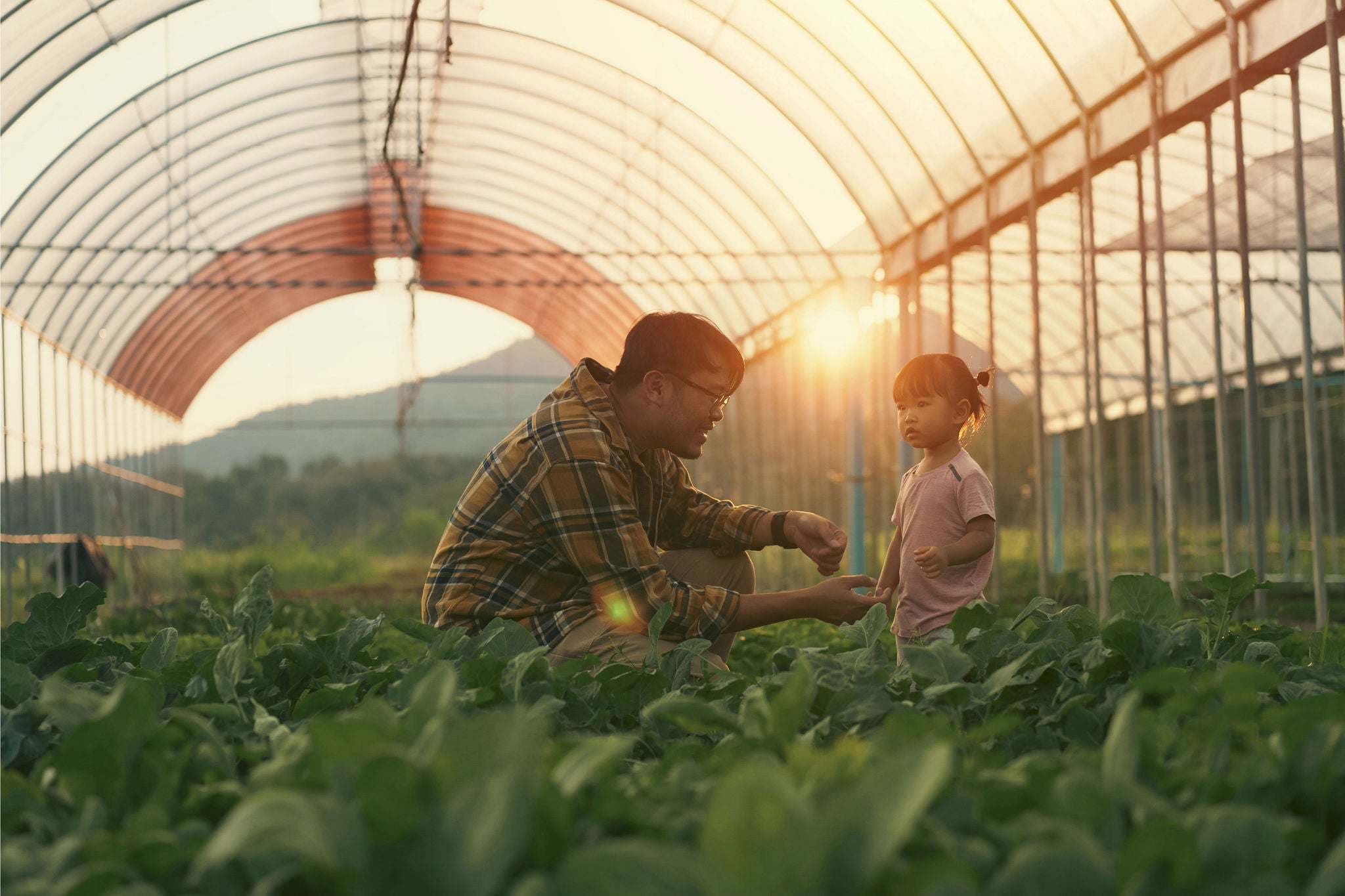Image of an Asian father teaching his young daughter about organic farming