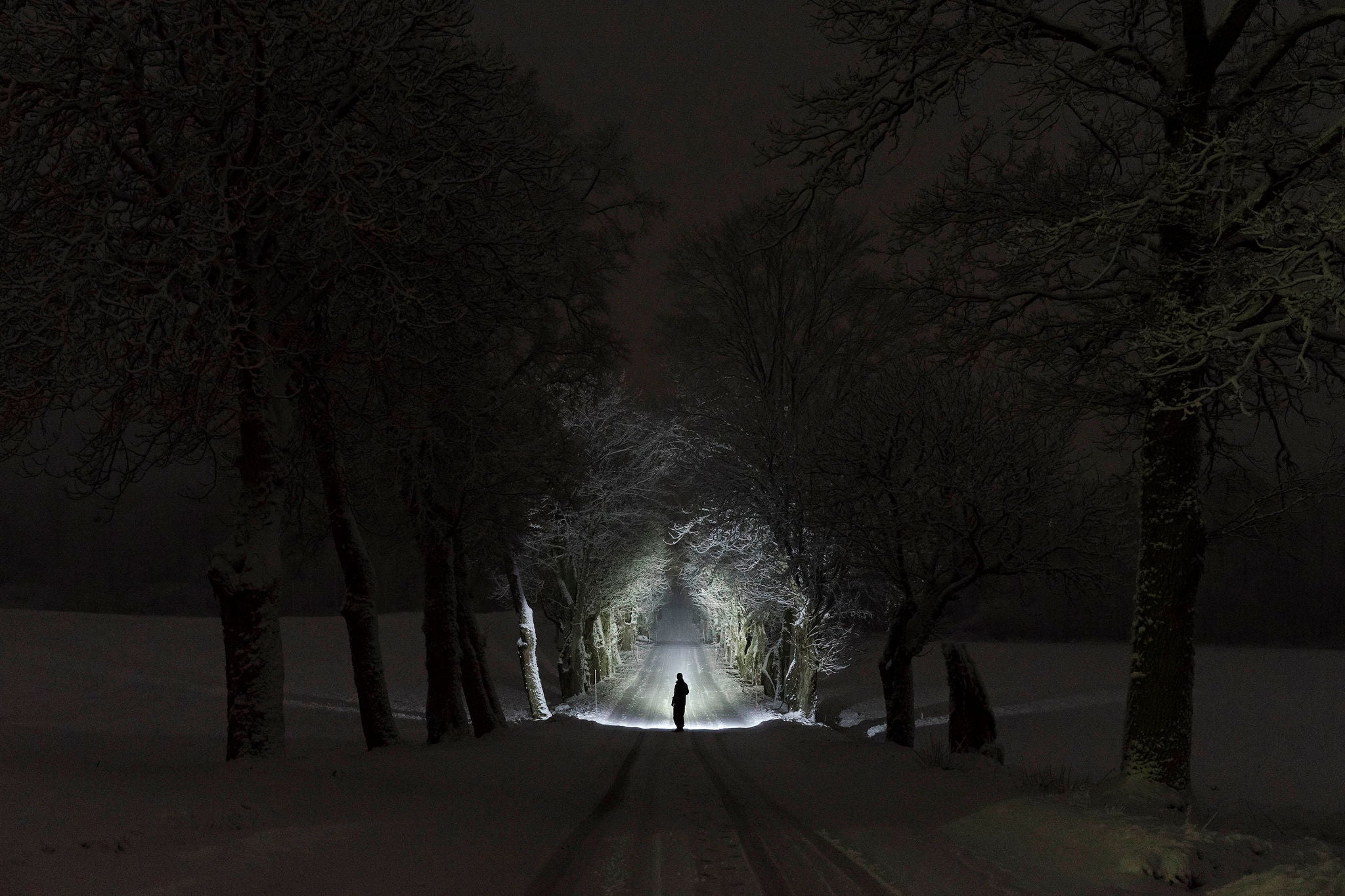Man shining flashlight down a dark road lined with trees at night