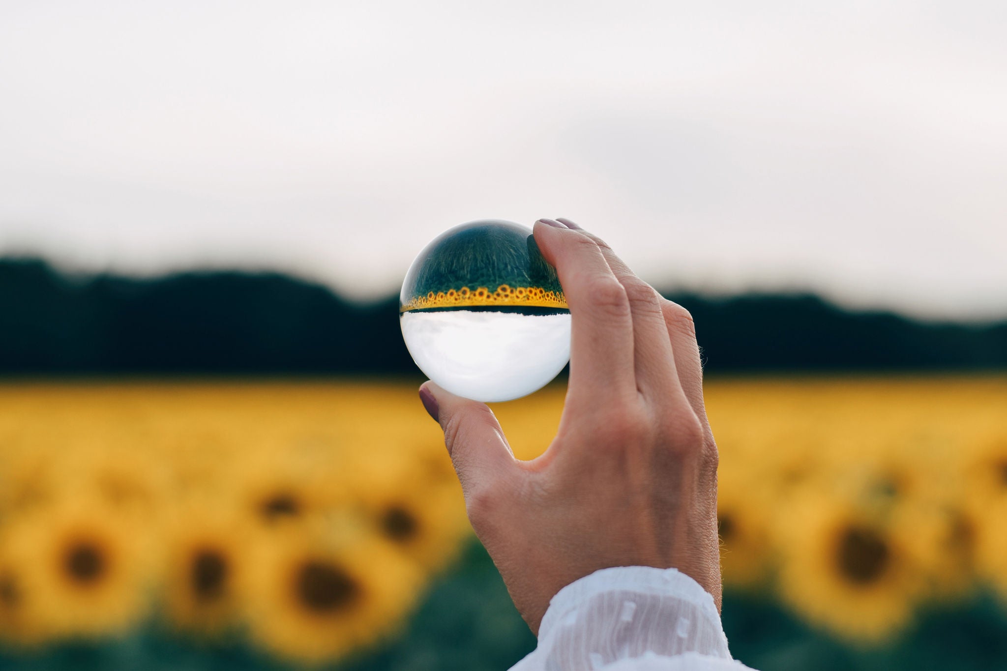 Main tenant une sphère de verre devant un champ de tournesols flou