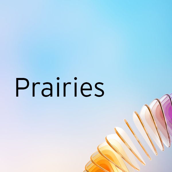 Prairies