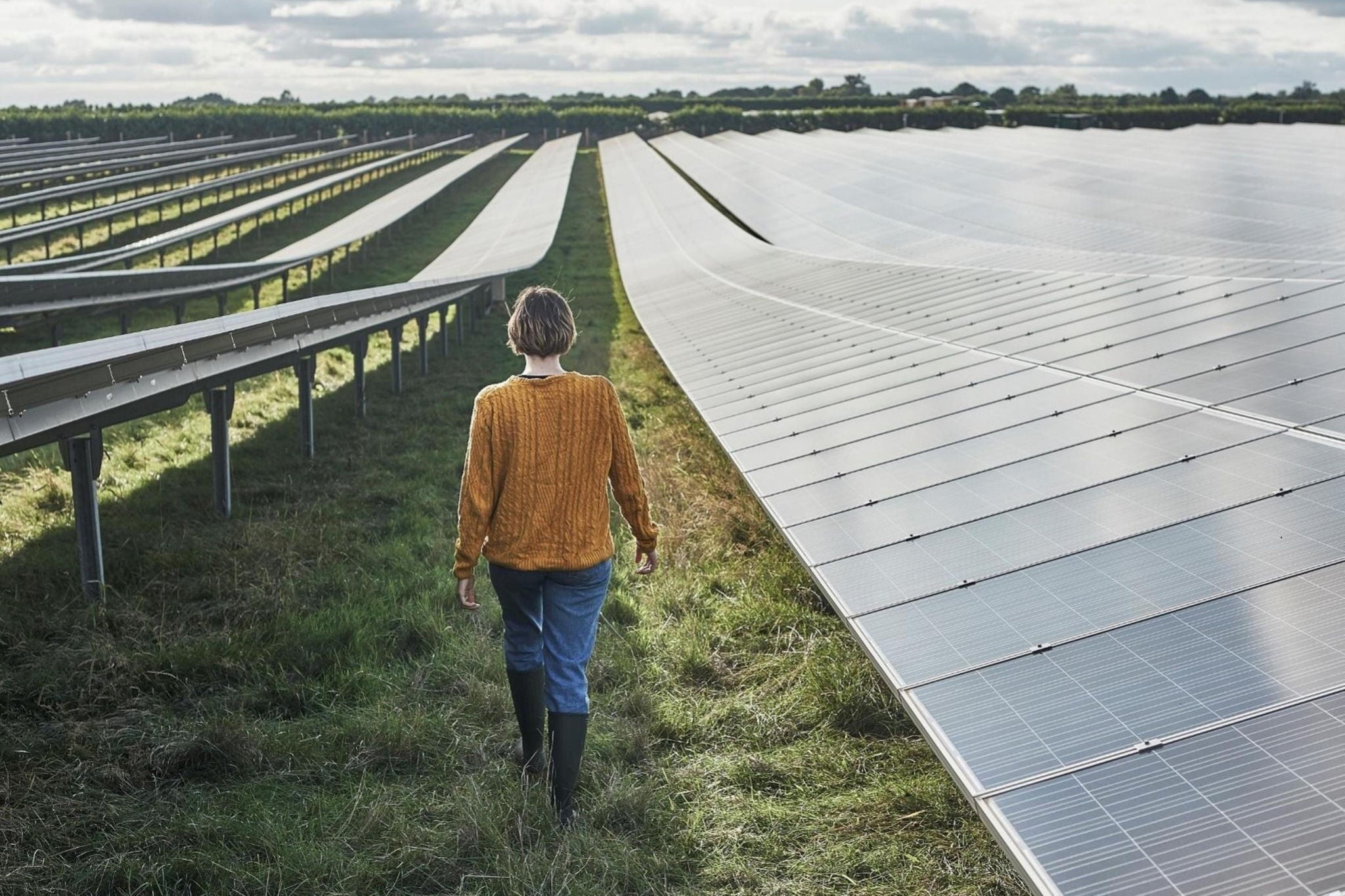 EY Konjunkturbarometer Agribusiness 2026