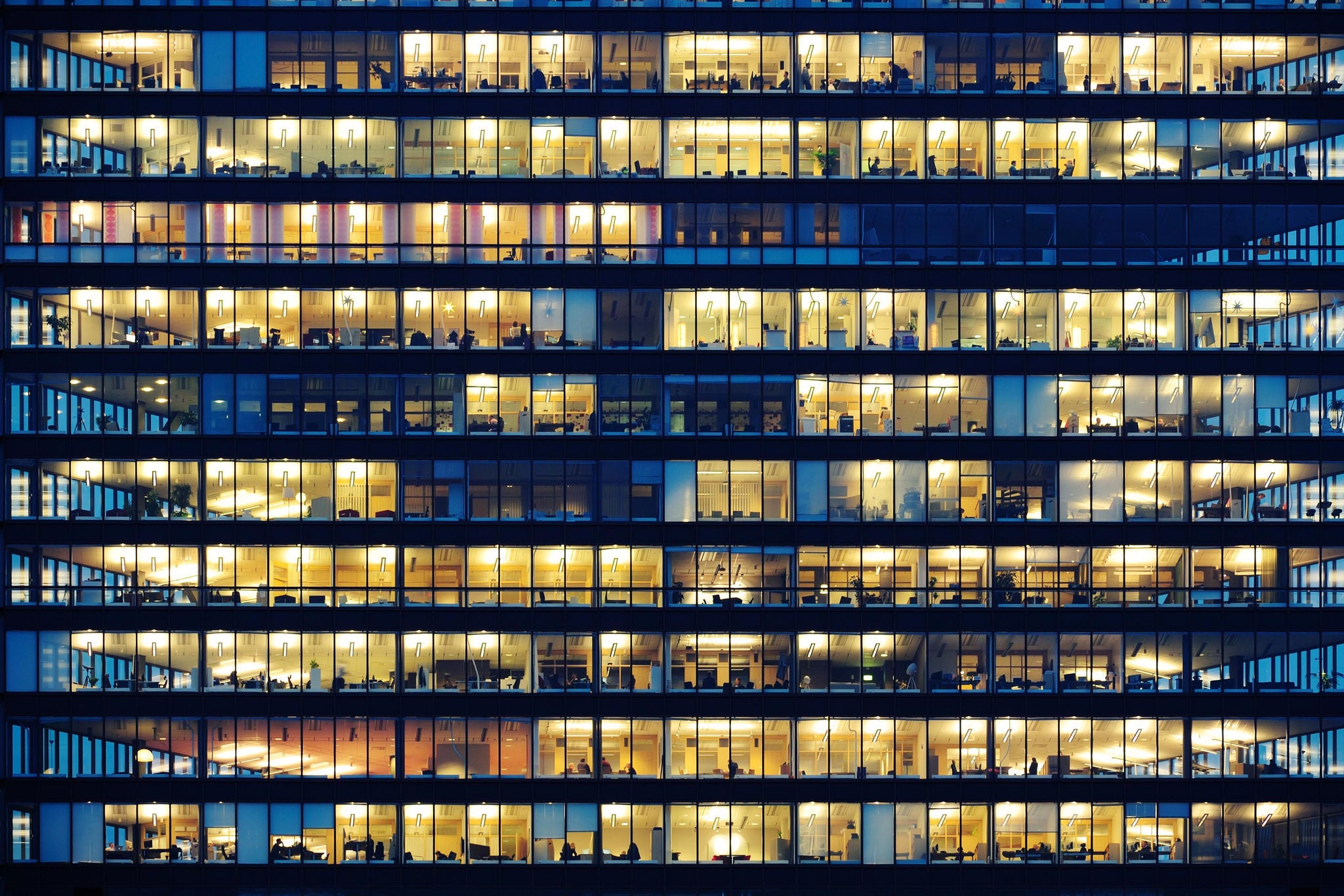 Workers working late. Office windows by night.