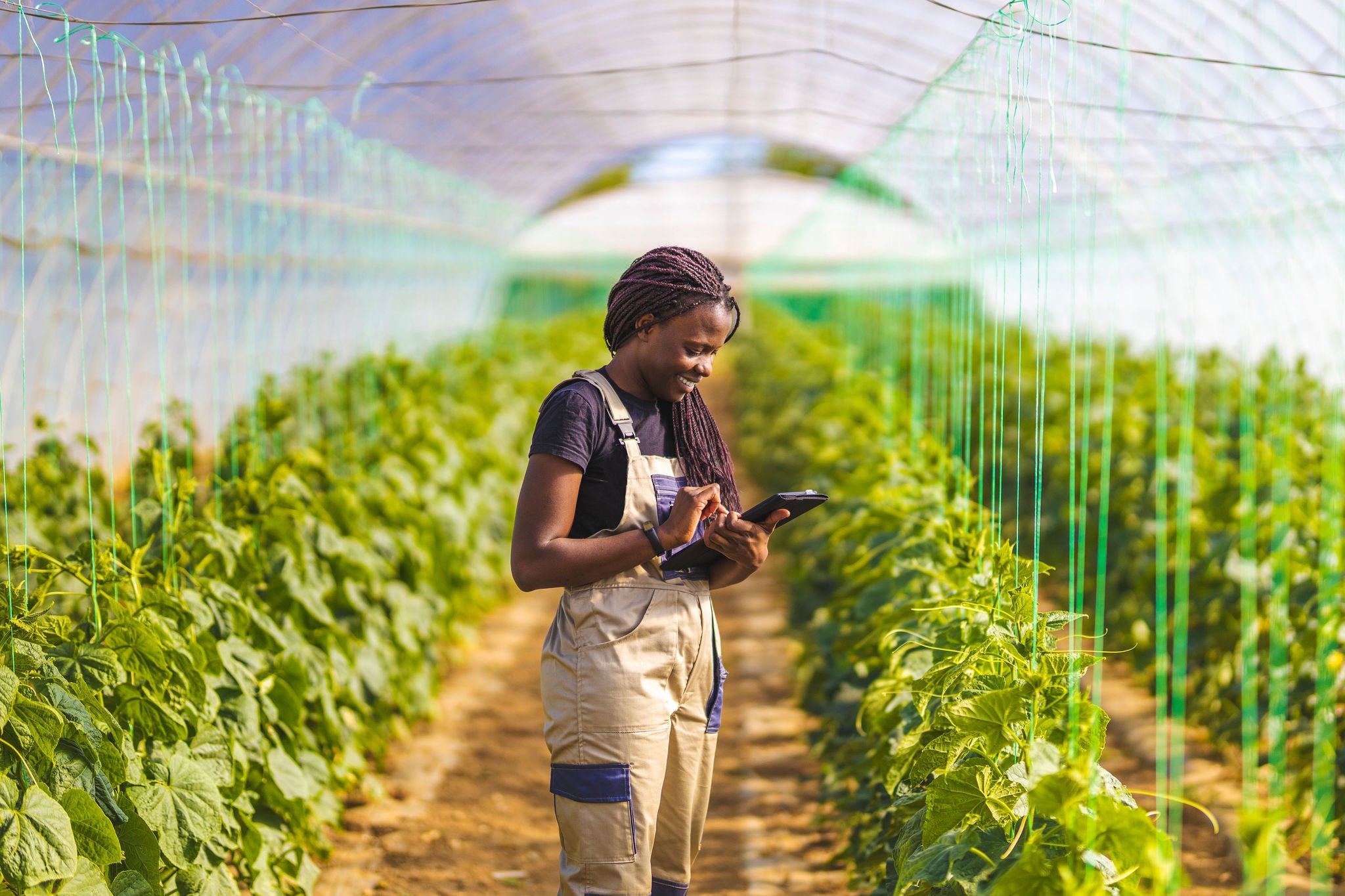 Female farmer using a smartphone in a greenhouse surrounded by rows of growing plants
